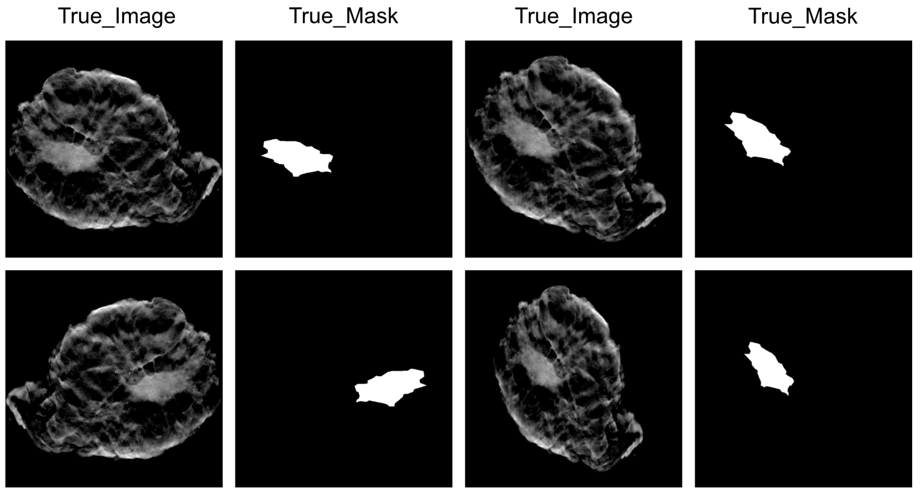 Diagnostics 14 01032 g003