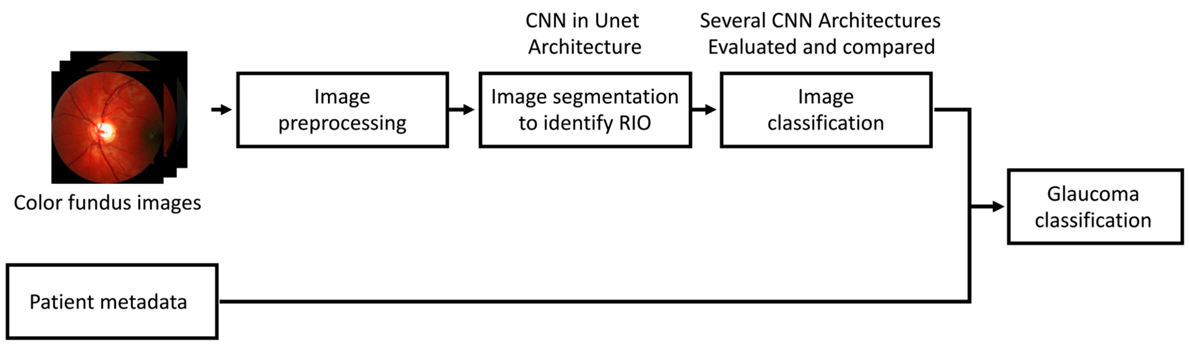 Diagnostics 14 01073 g001