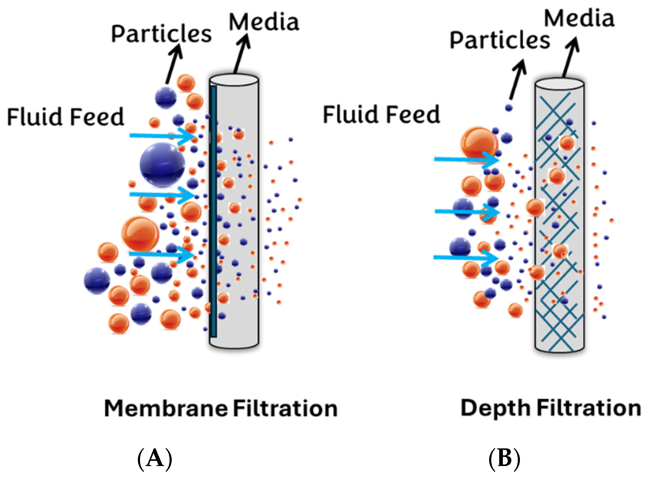 Diagnostics 14 01088 g002