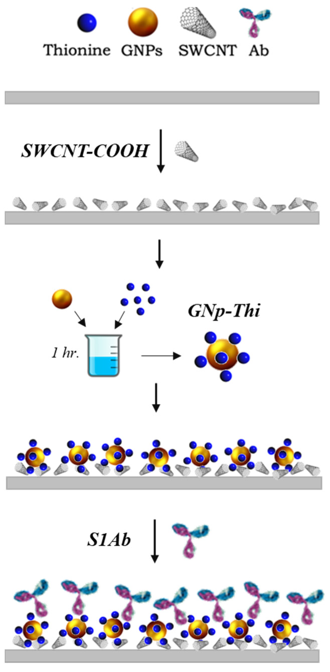 Diagnostics 14 01088 g003