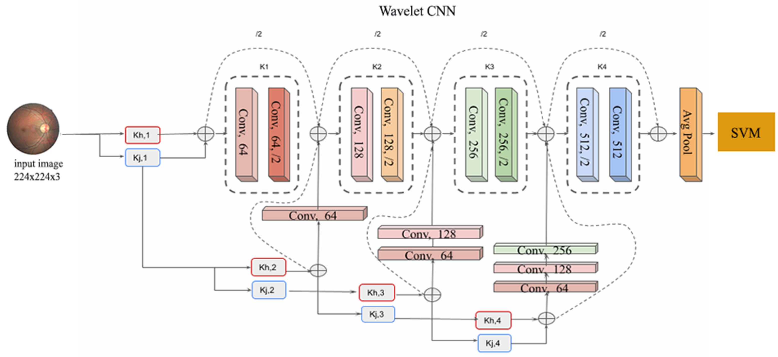 Diagnostics 14 01093 g001