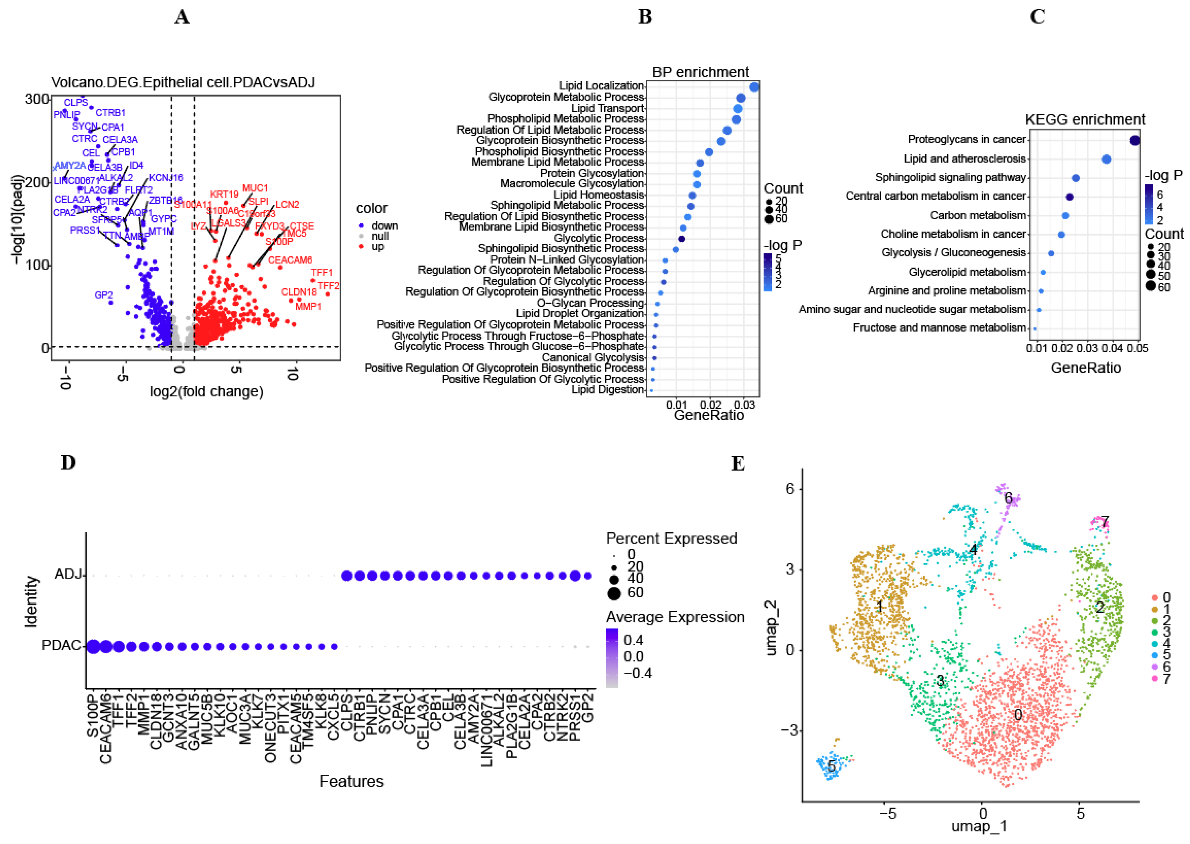 Diagnostics 14 01094 g002