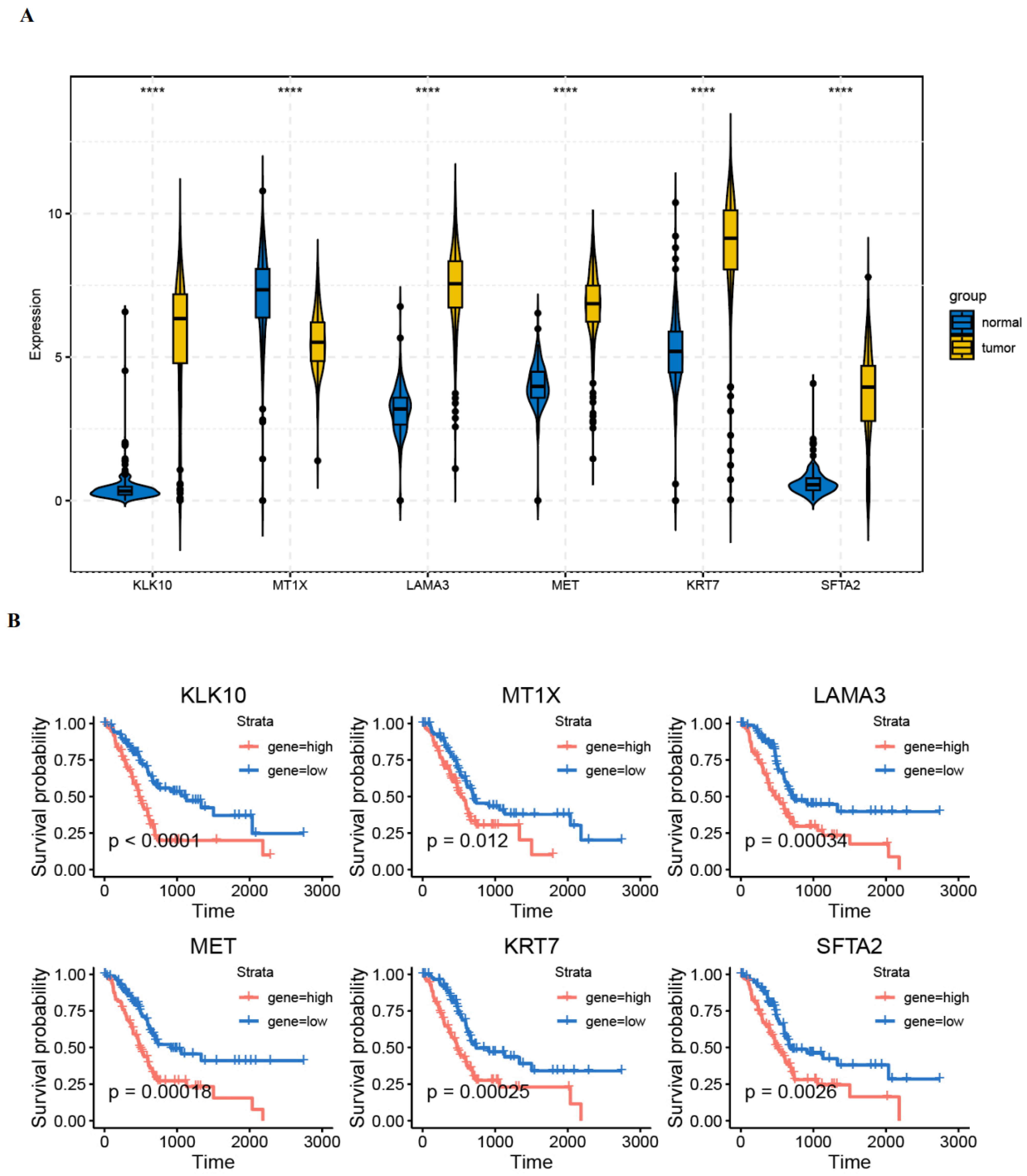 Diagnostics 14 01094 g008