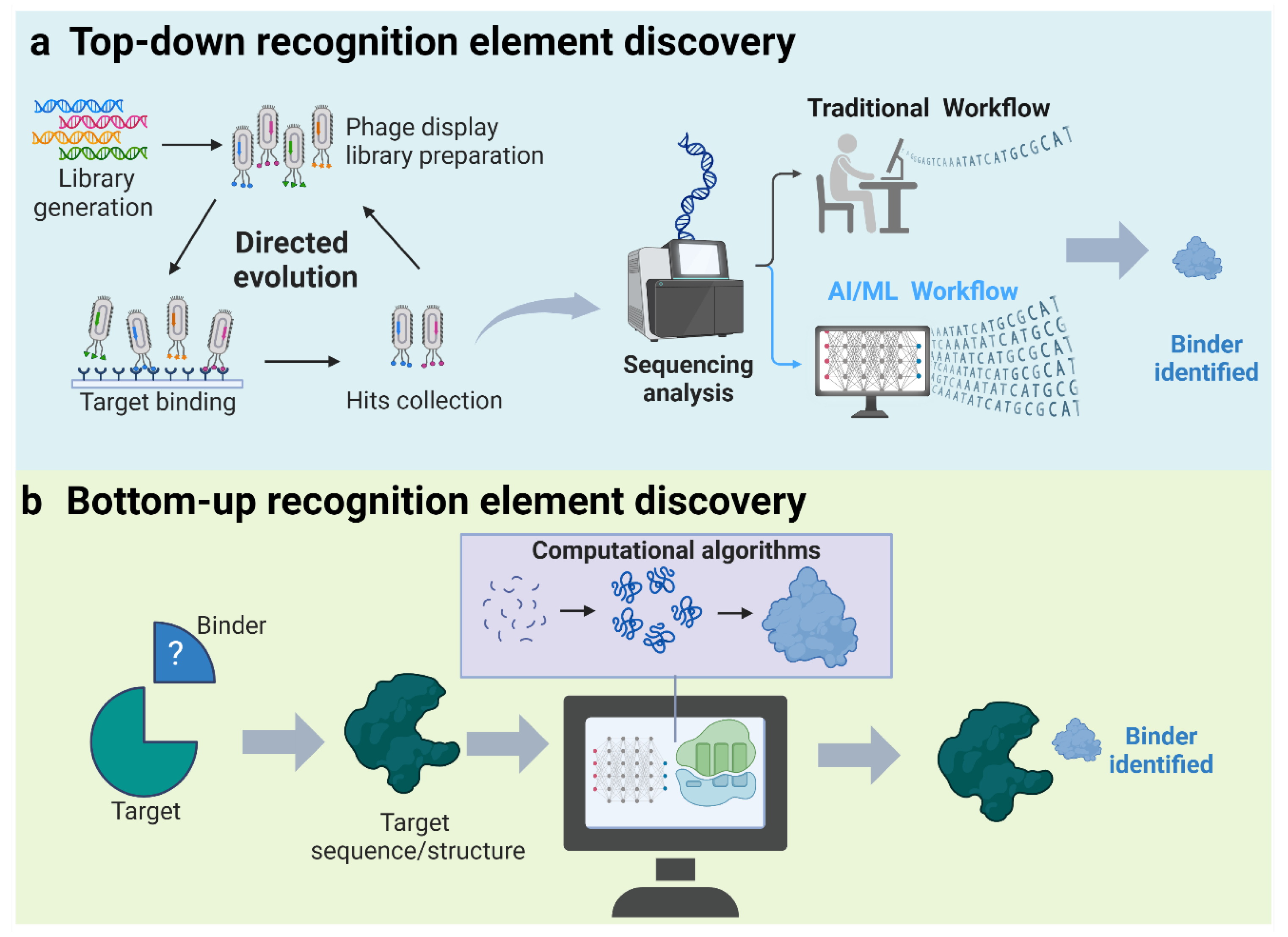 Diagnostics 14 01100 g005