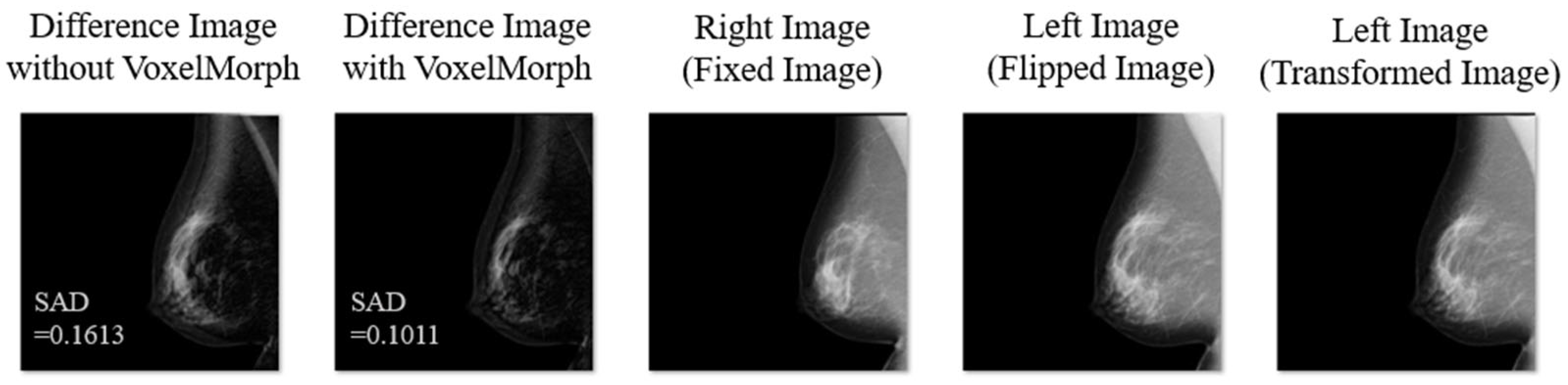 Diagnostics 14 01131 g010