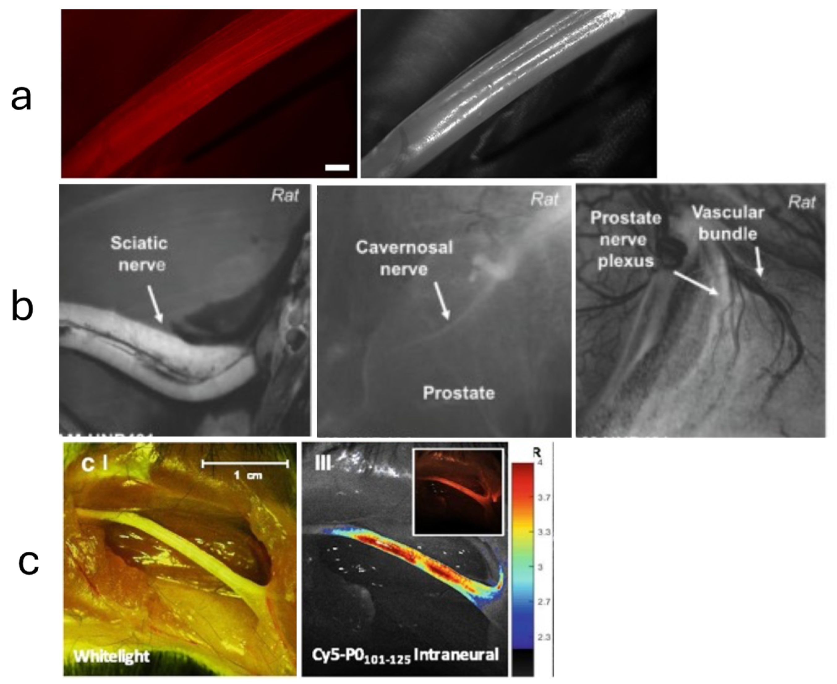 Diagnostics 14 01169 g004 Diagnostics 14 01169 g004