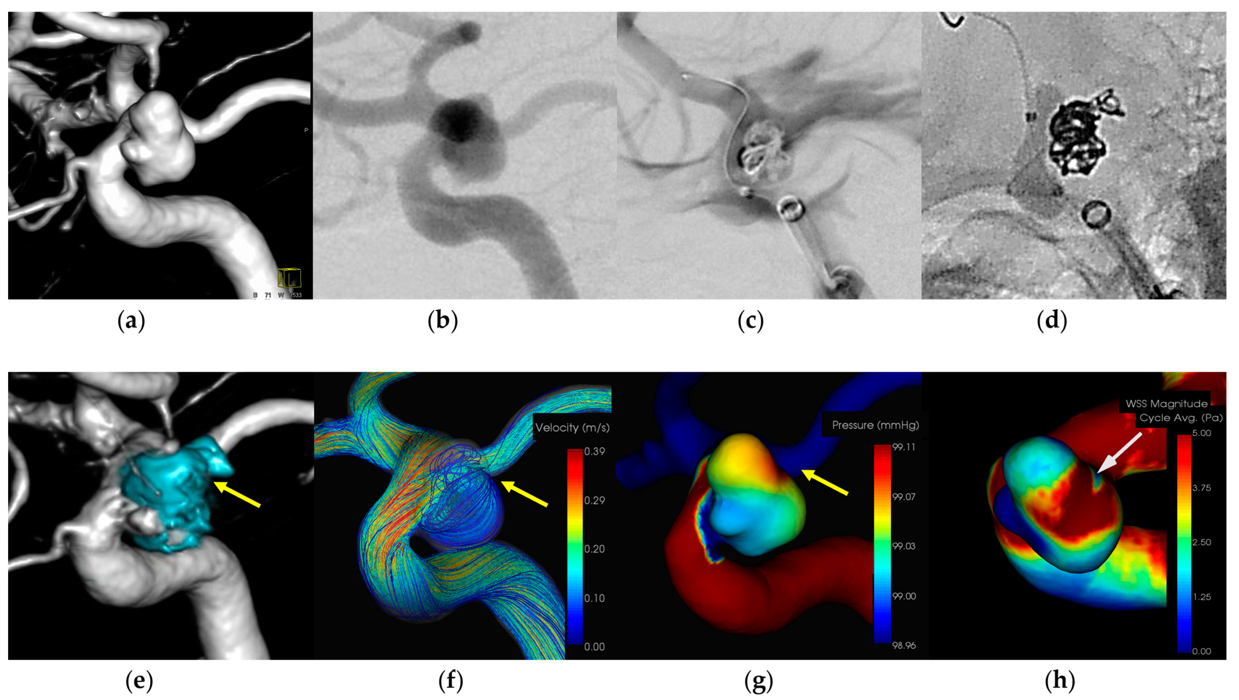 Diagnostics 14 01203 g001