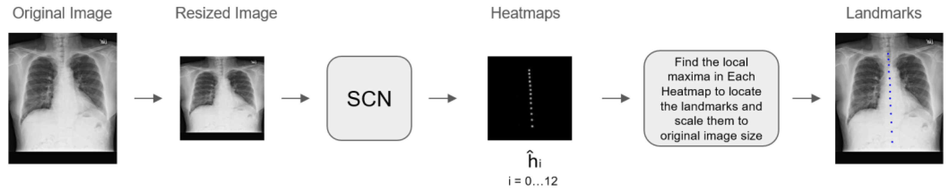 Diagnostics 14 01208 g001
