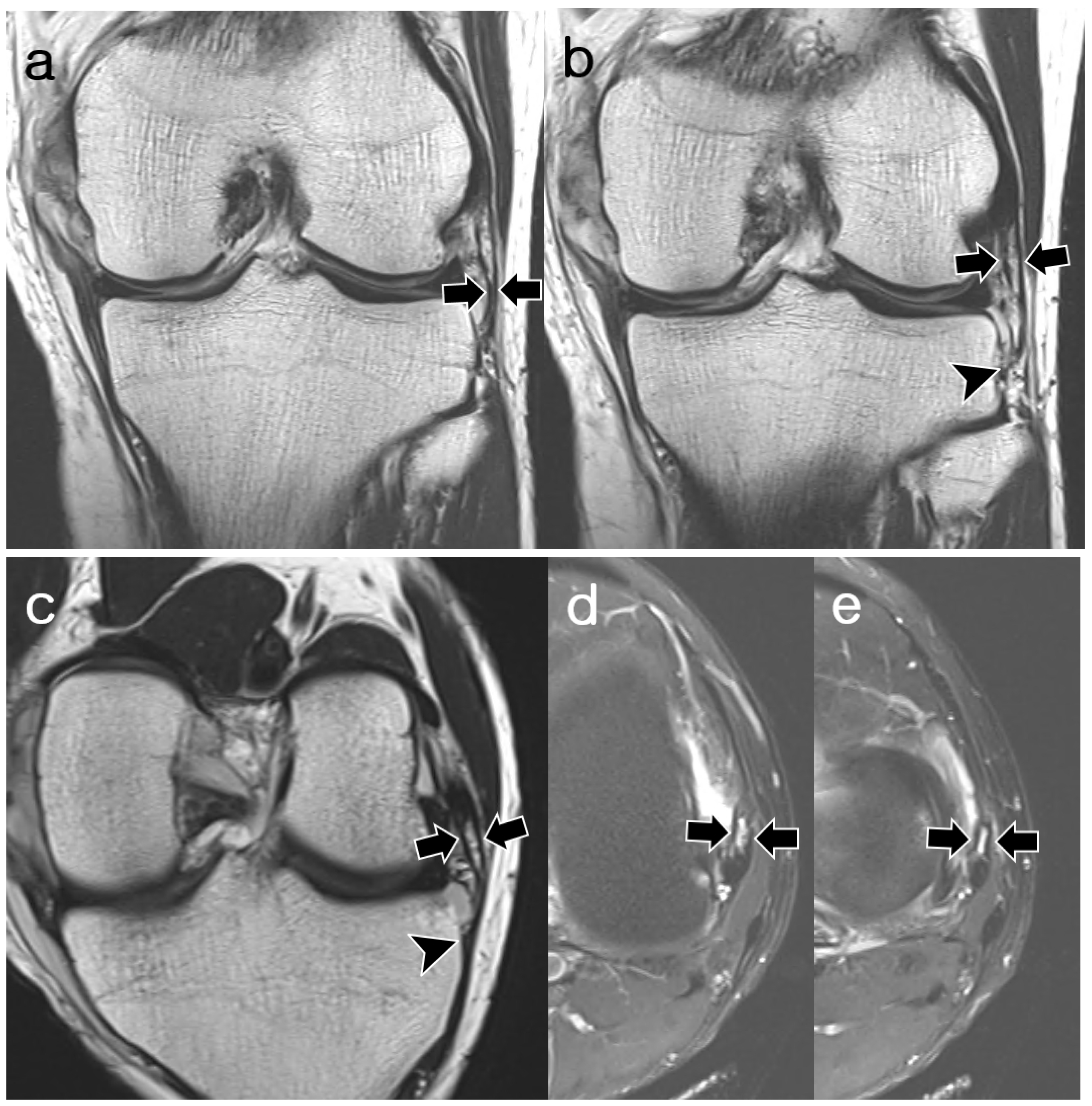 Diagnostics 14 01226 g007