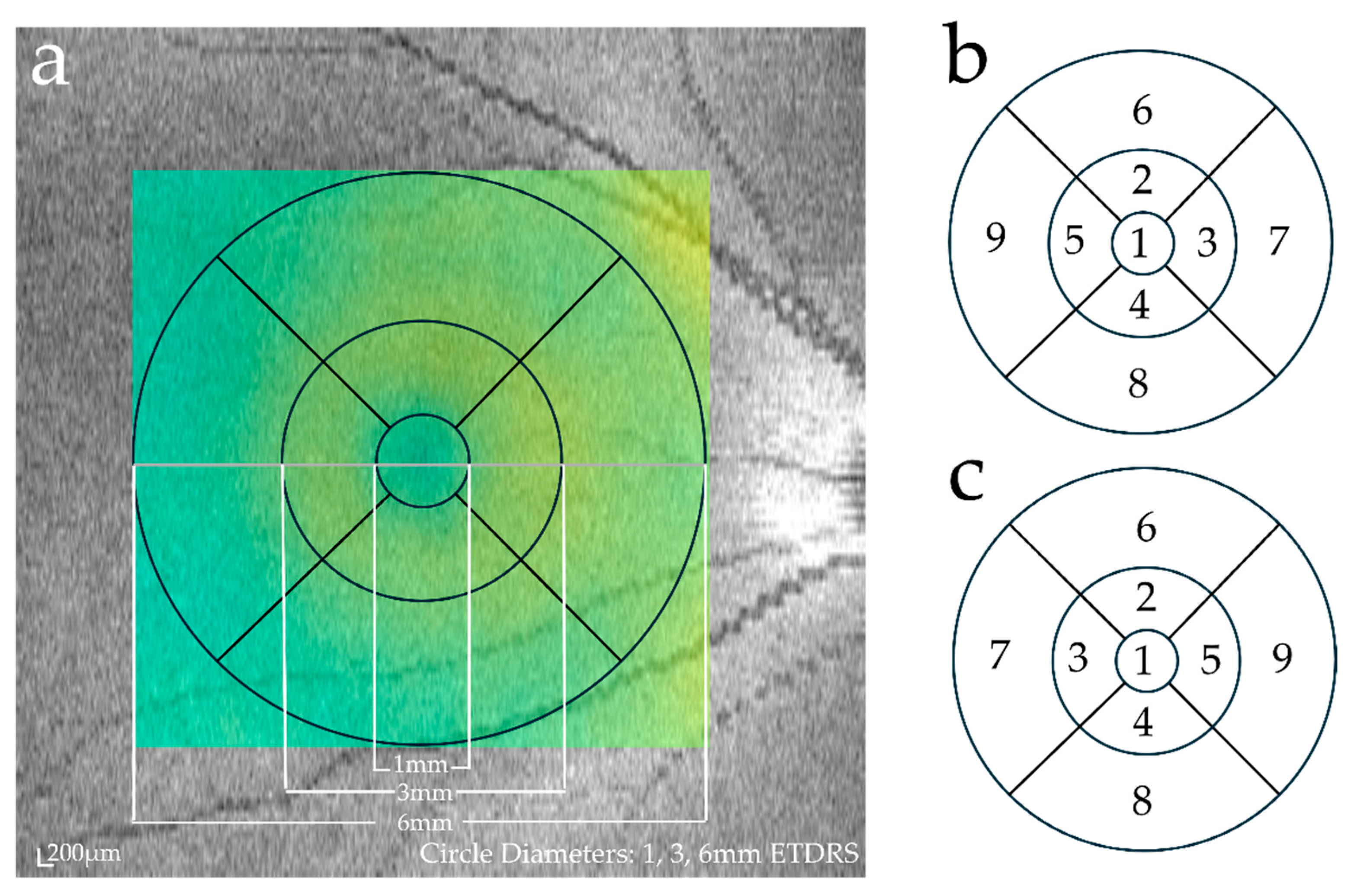 Diagnostics 14 01320 g002