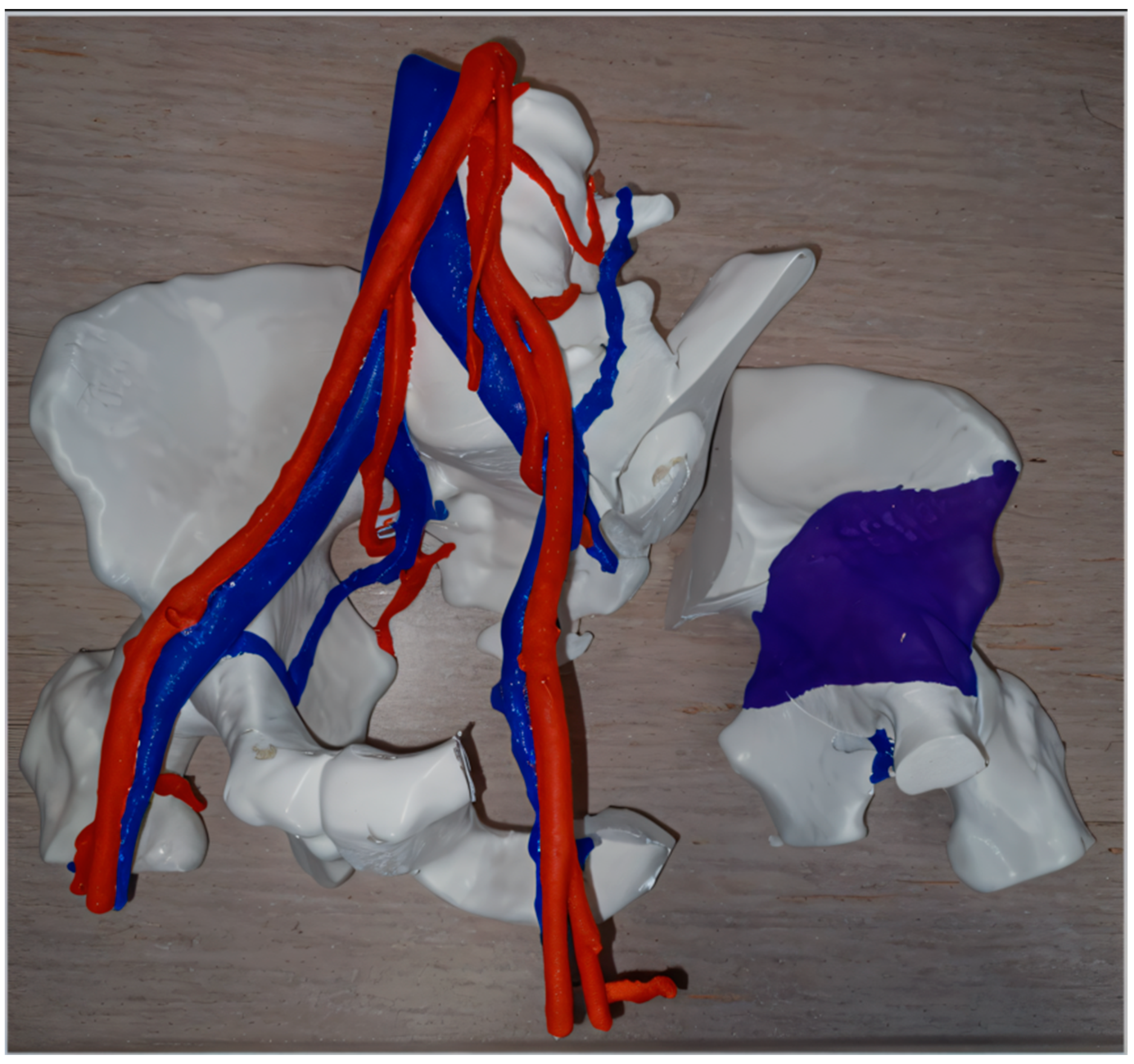 Diagnostics 14 01321 g002