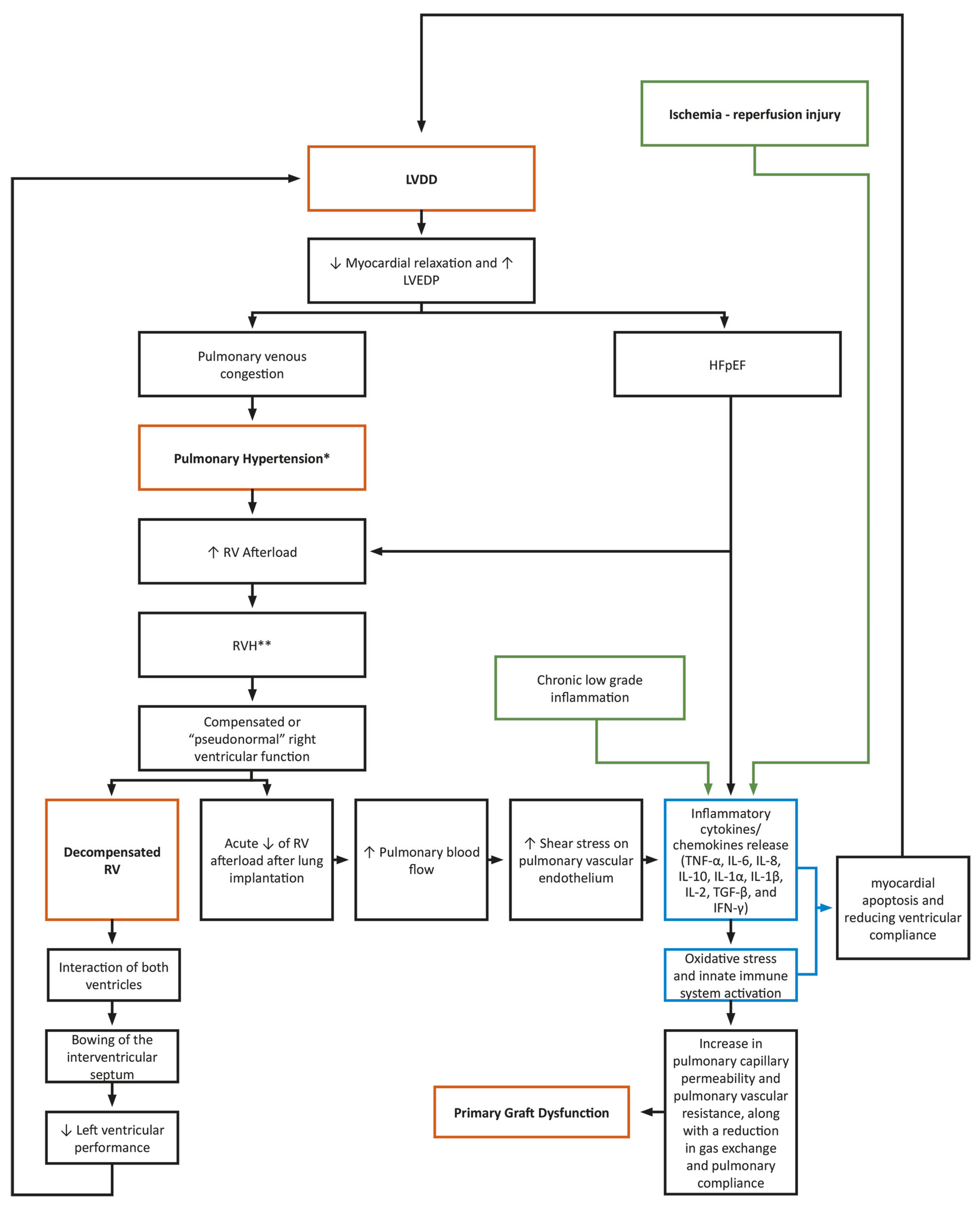 Diagnostics 14 01340 g001 Diagnostics 14 01340 g001