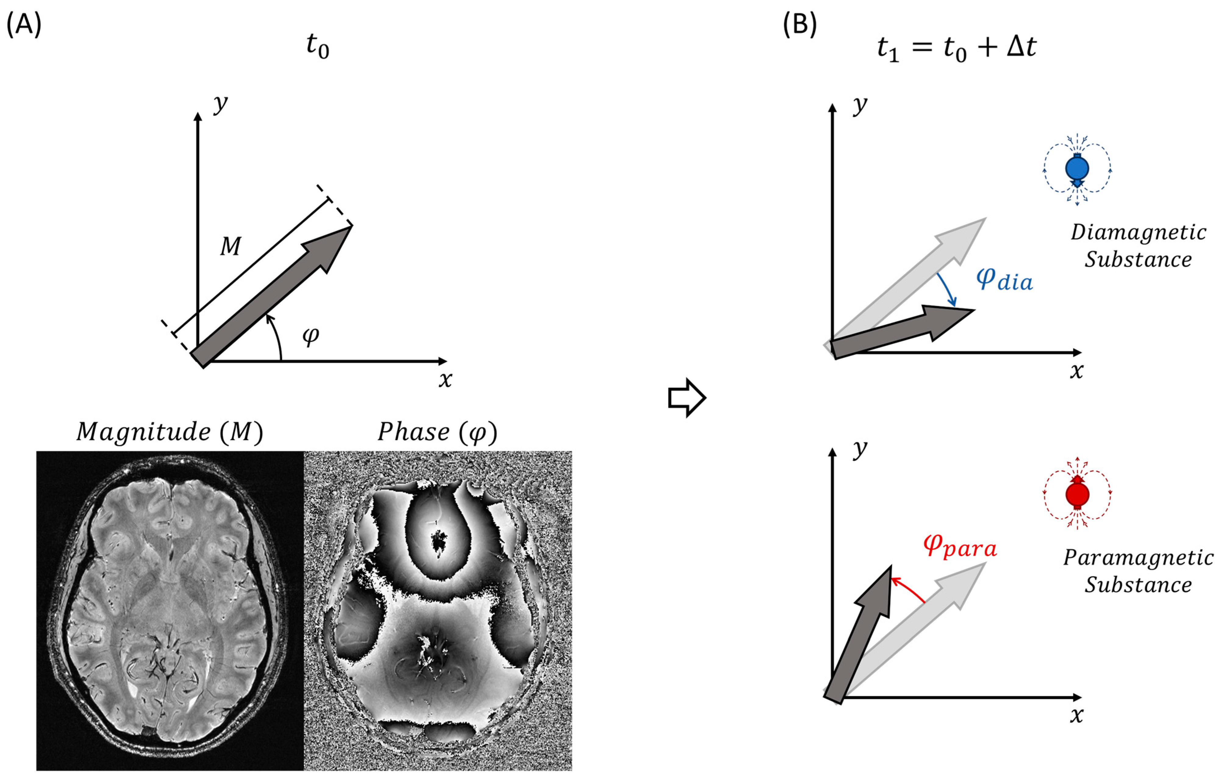 Diagnostics 14 01362 g001 Diagnostics 14 01362 g001