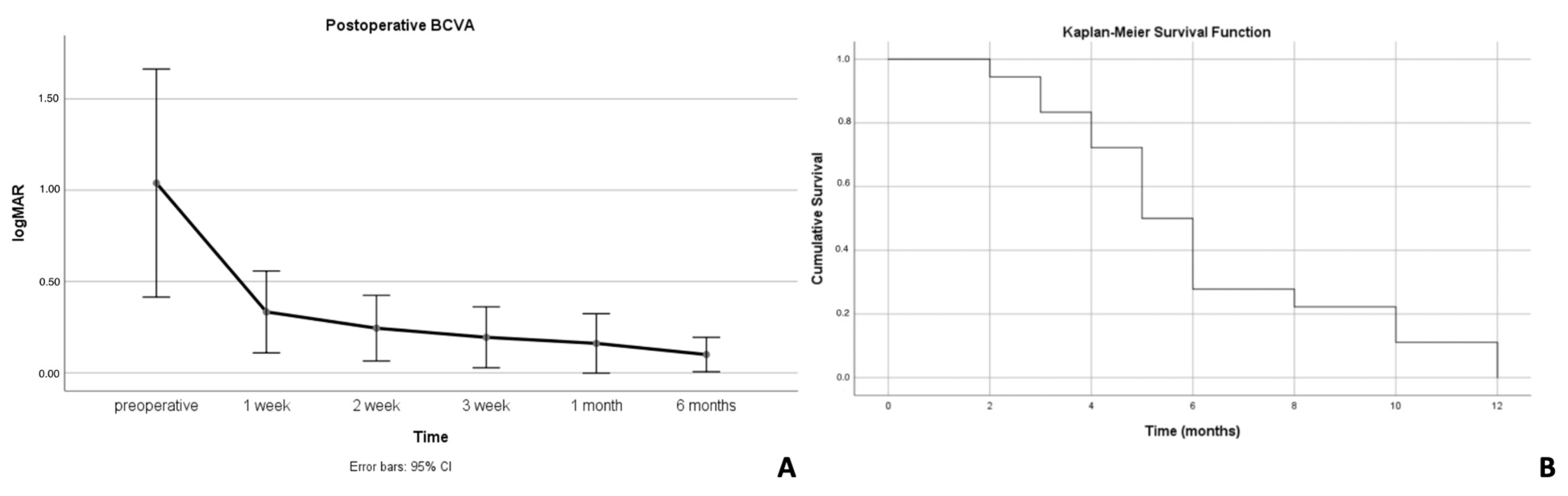 Diagnostics 14 01385 g001