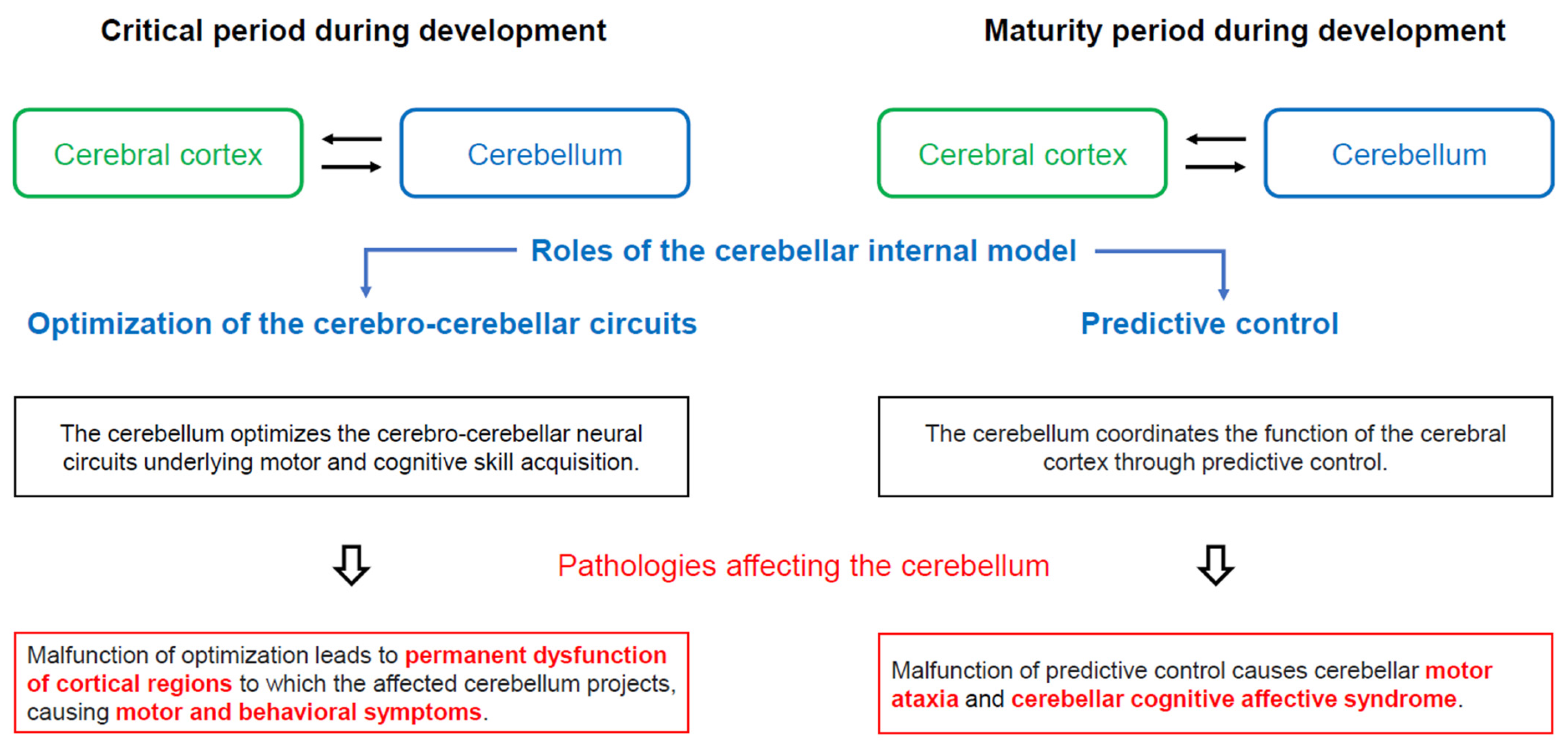 Diagnostics 14 01415 g002