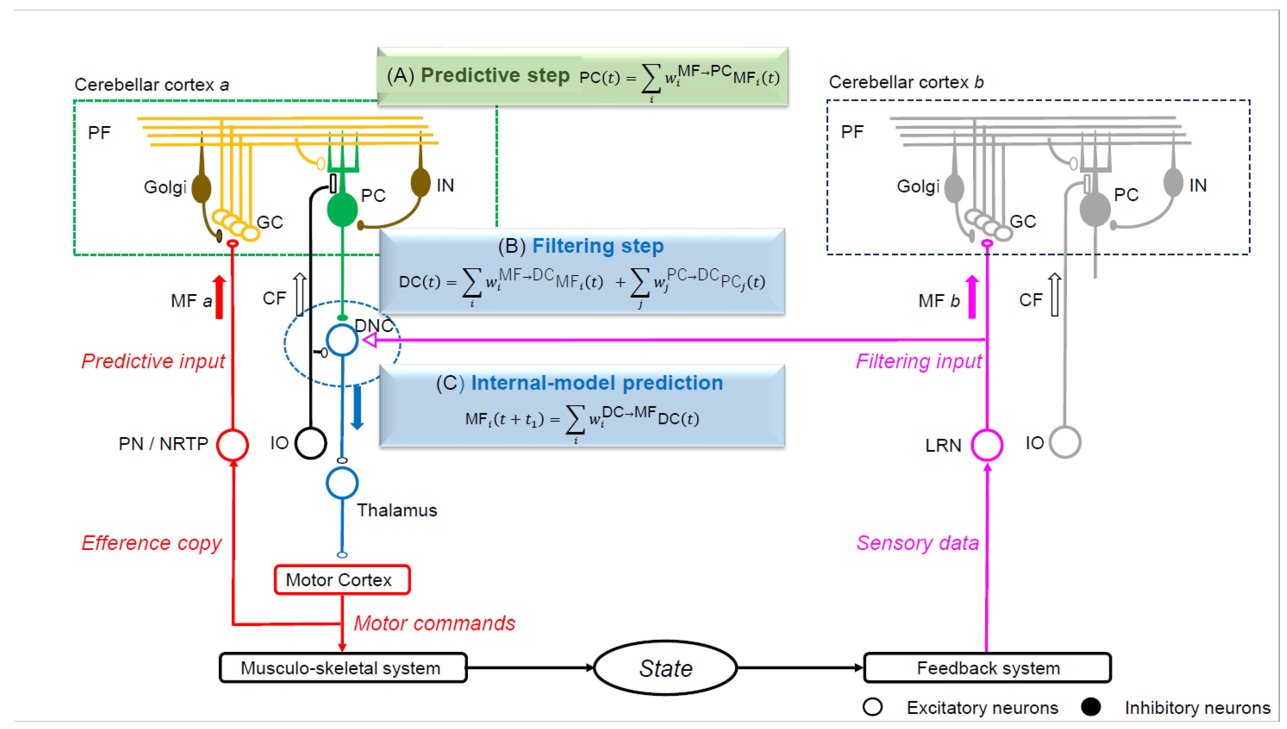 Diagnostics 14 01415 g003