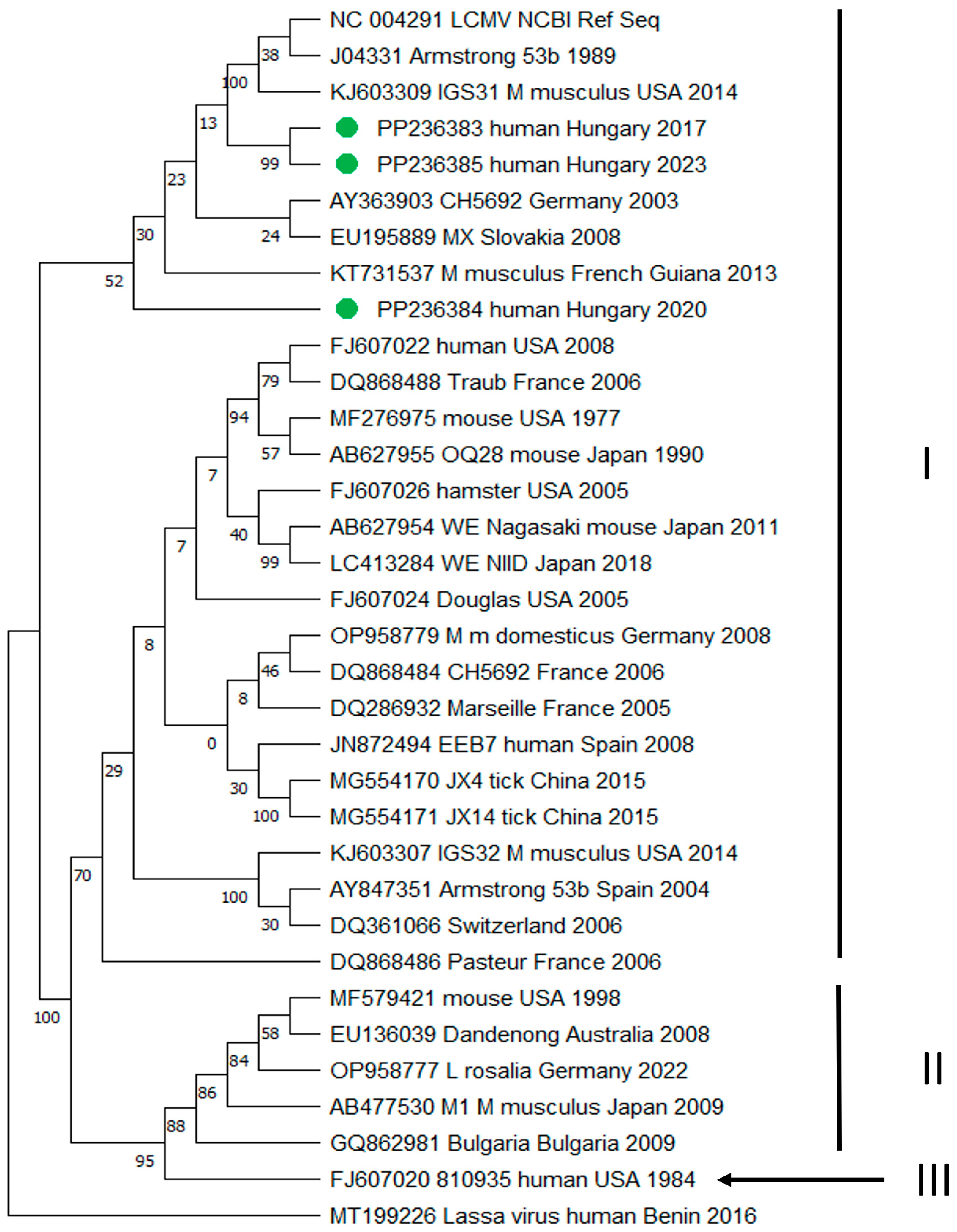 Diagnostics 14 01436 g003 Diagnostics 14 01436 g003