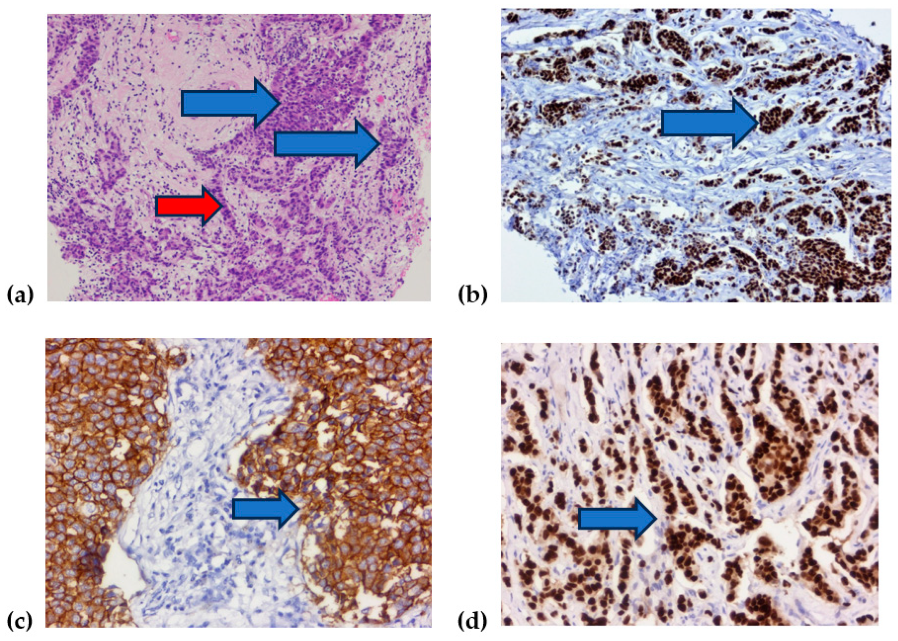 Diagnostics 14 01449 g004