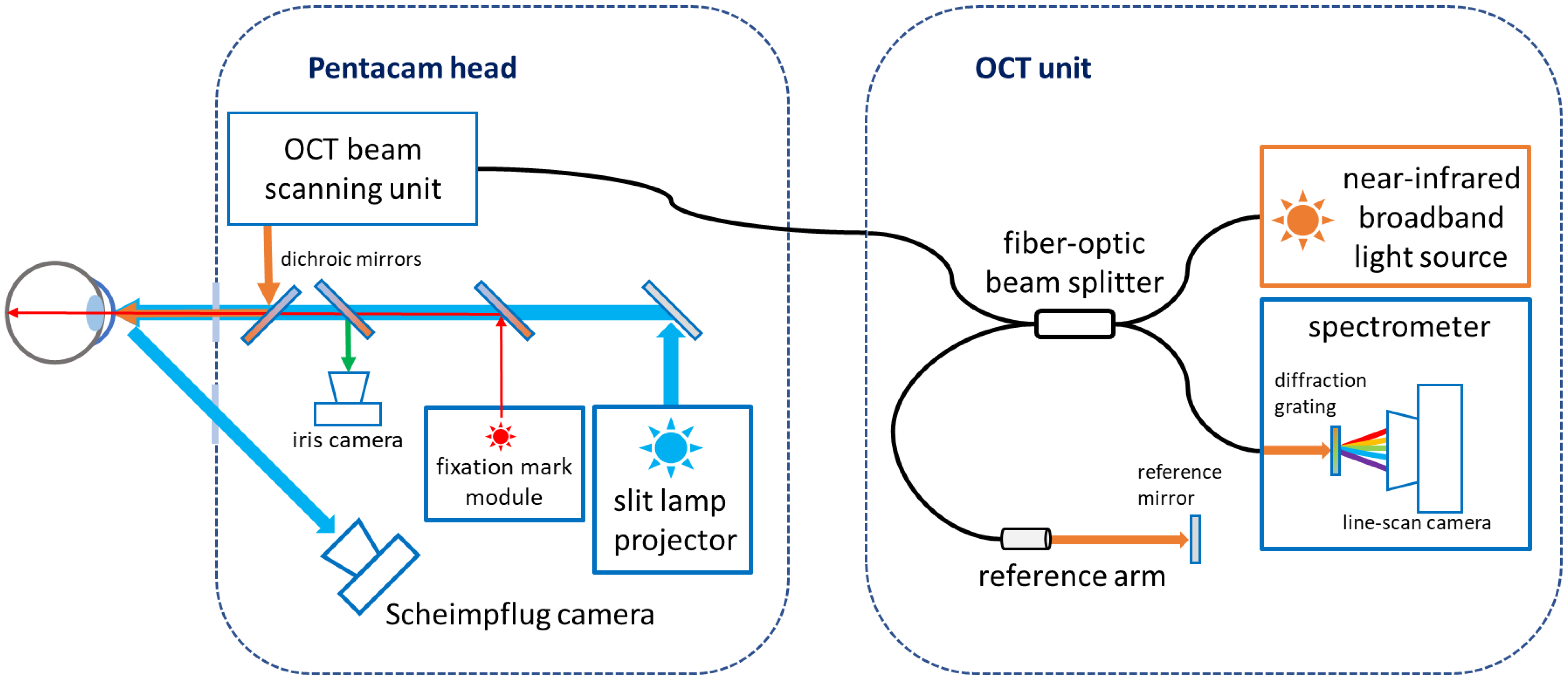 Diagnostics 14 01455 g001