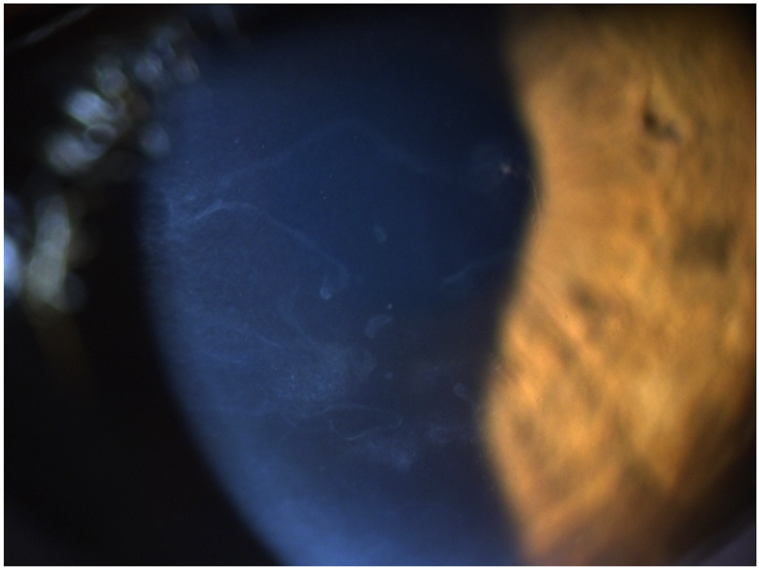 Diagnostics 14 01455 g003