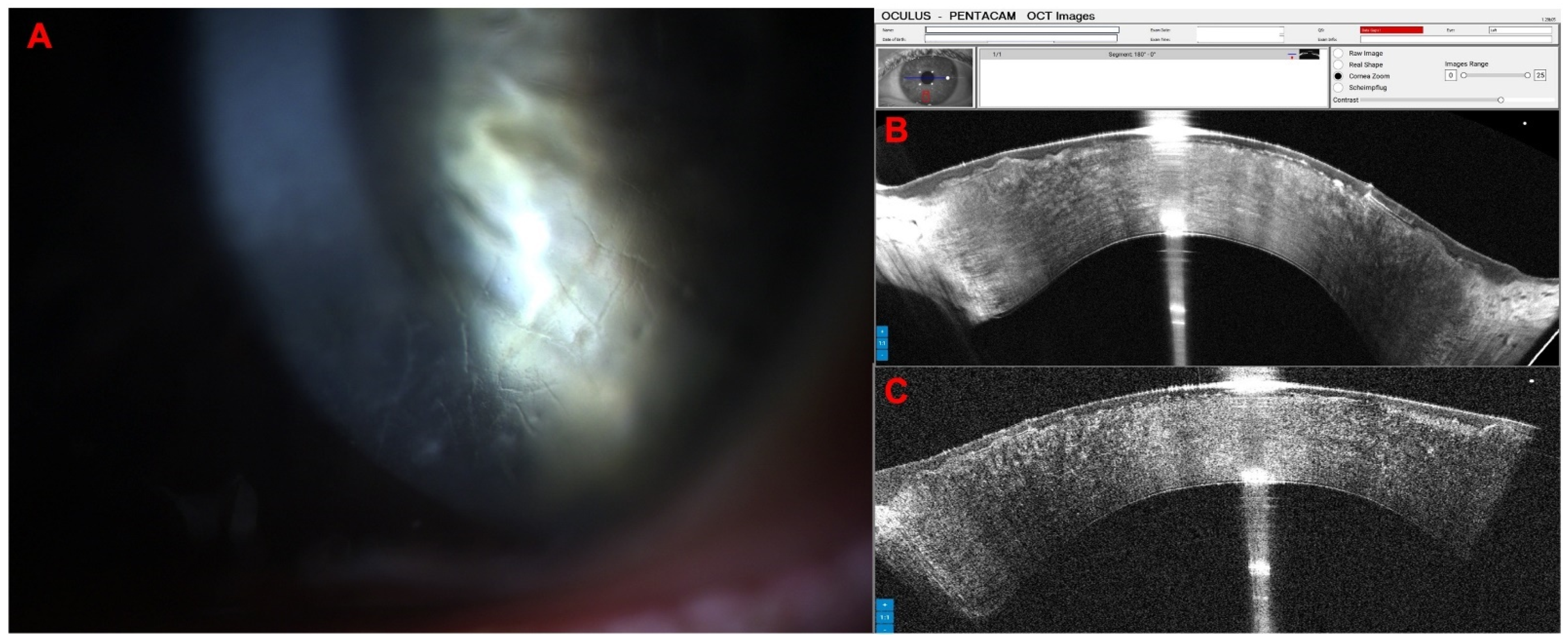 Diagnostics 14 01455 g011