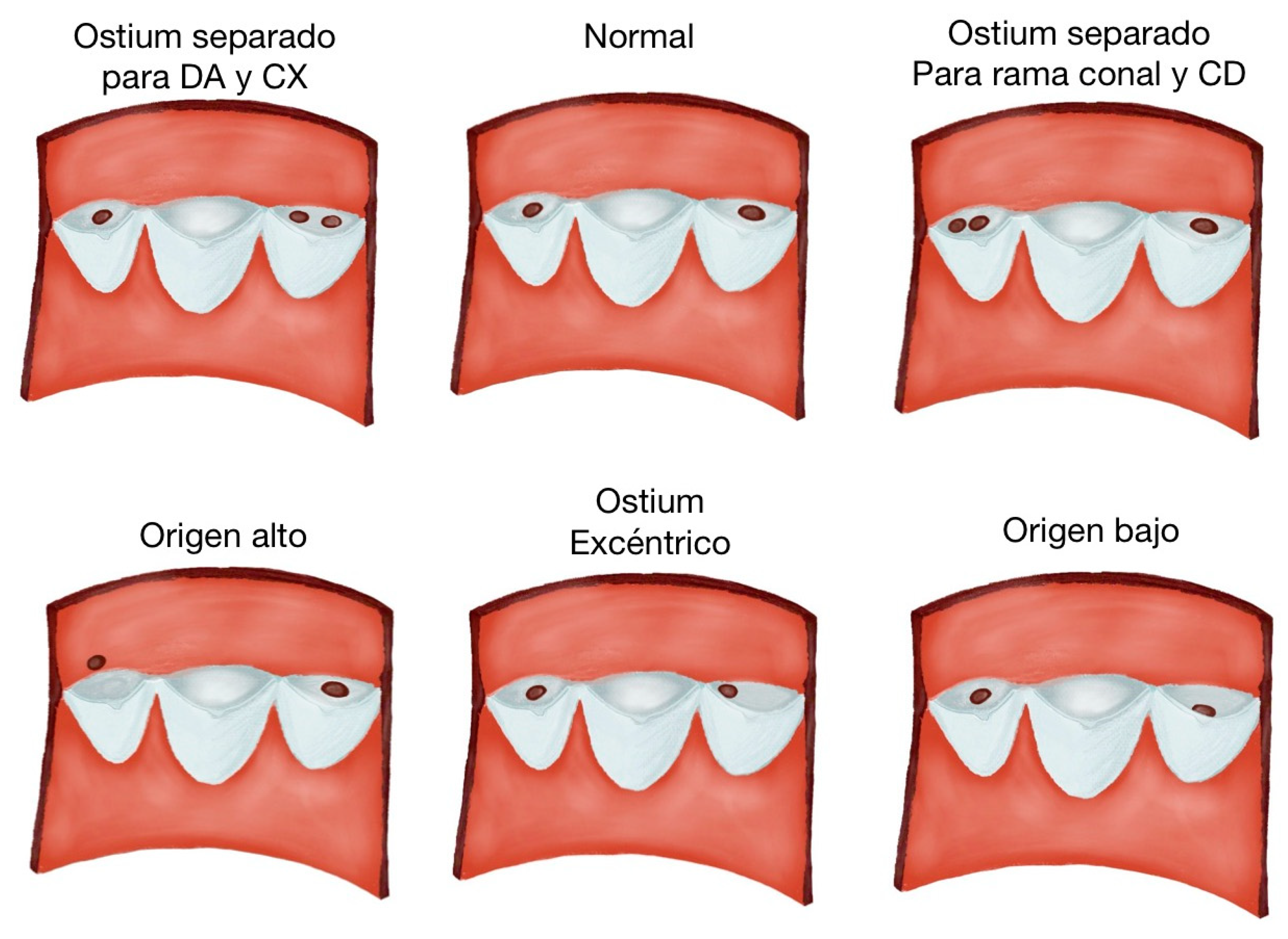 Diagnostics 14 01458 g003 Diagnostics 14 01458 g003