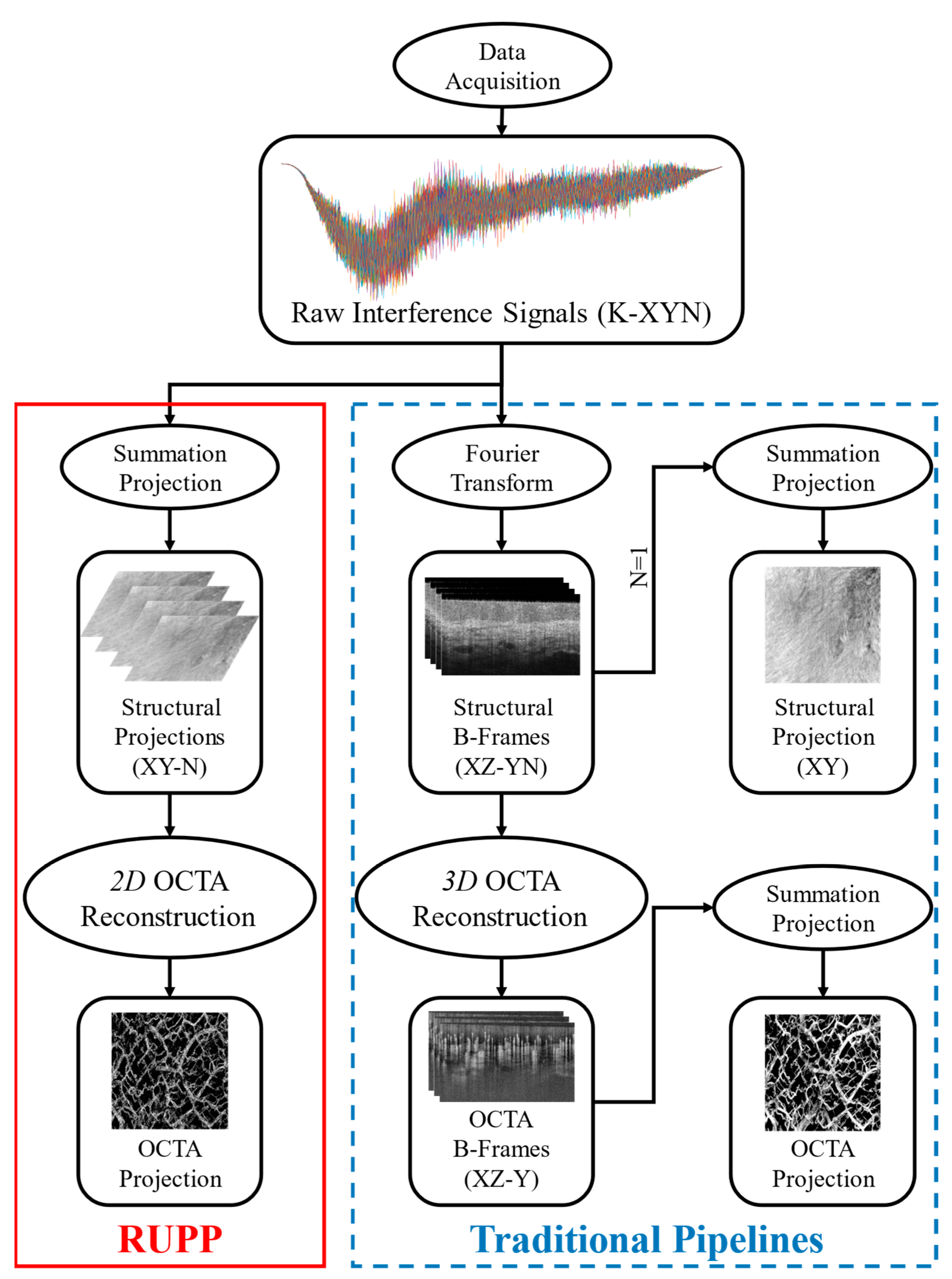 Diagnostics 14 01509 g001