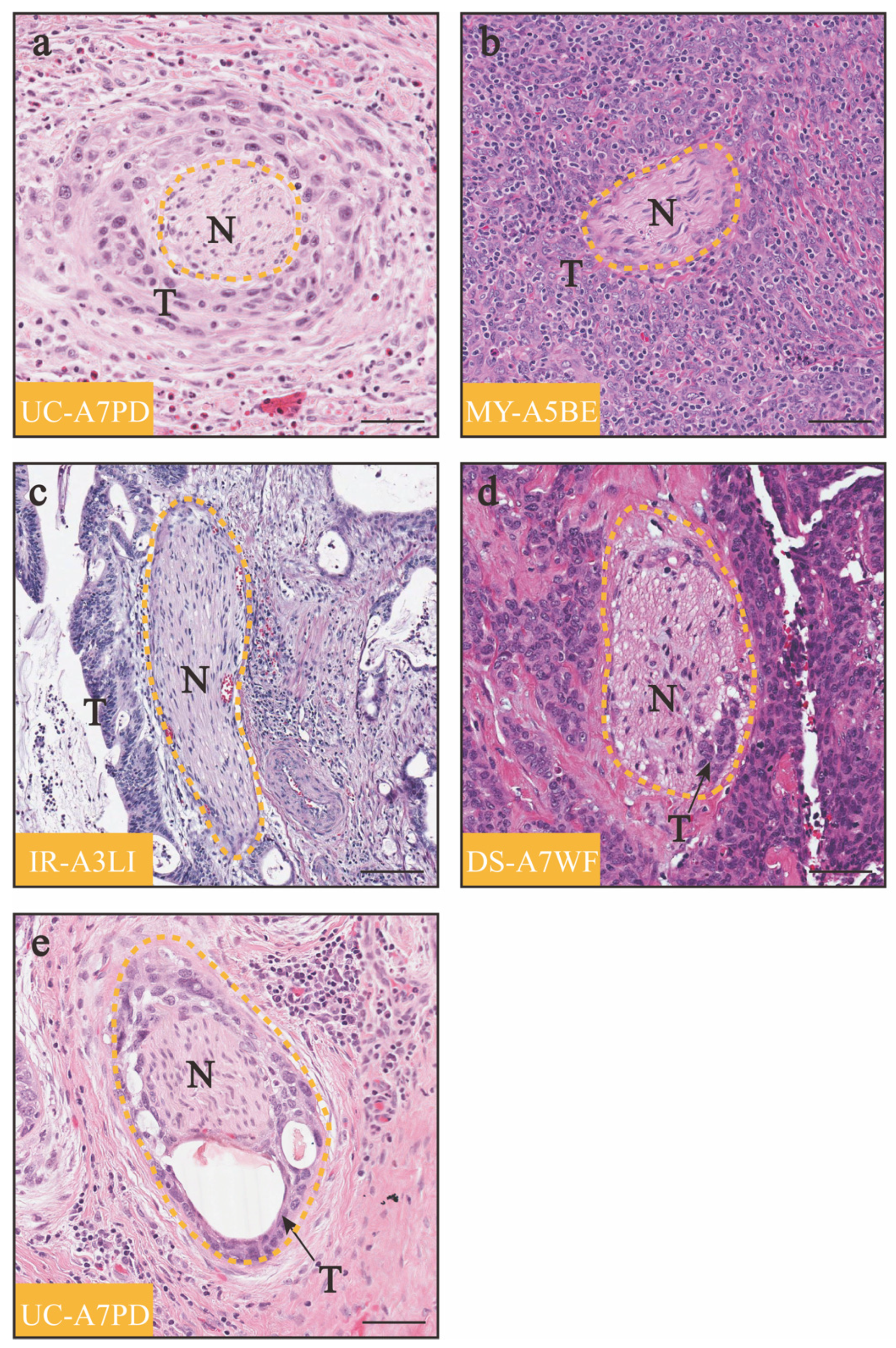 Diagnostics 14 01517 g001 Diagnostics 14 01517 g001