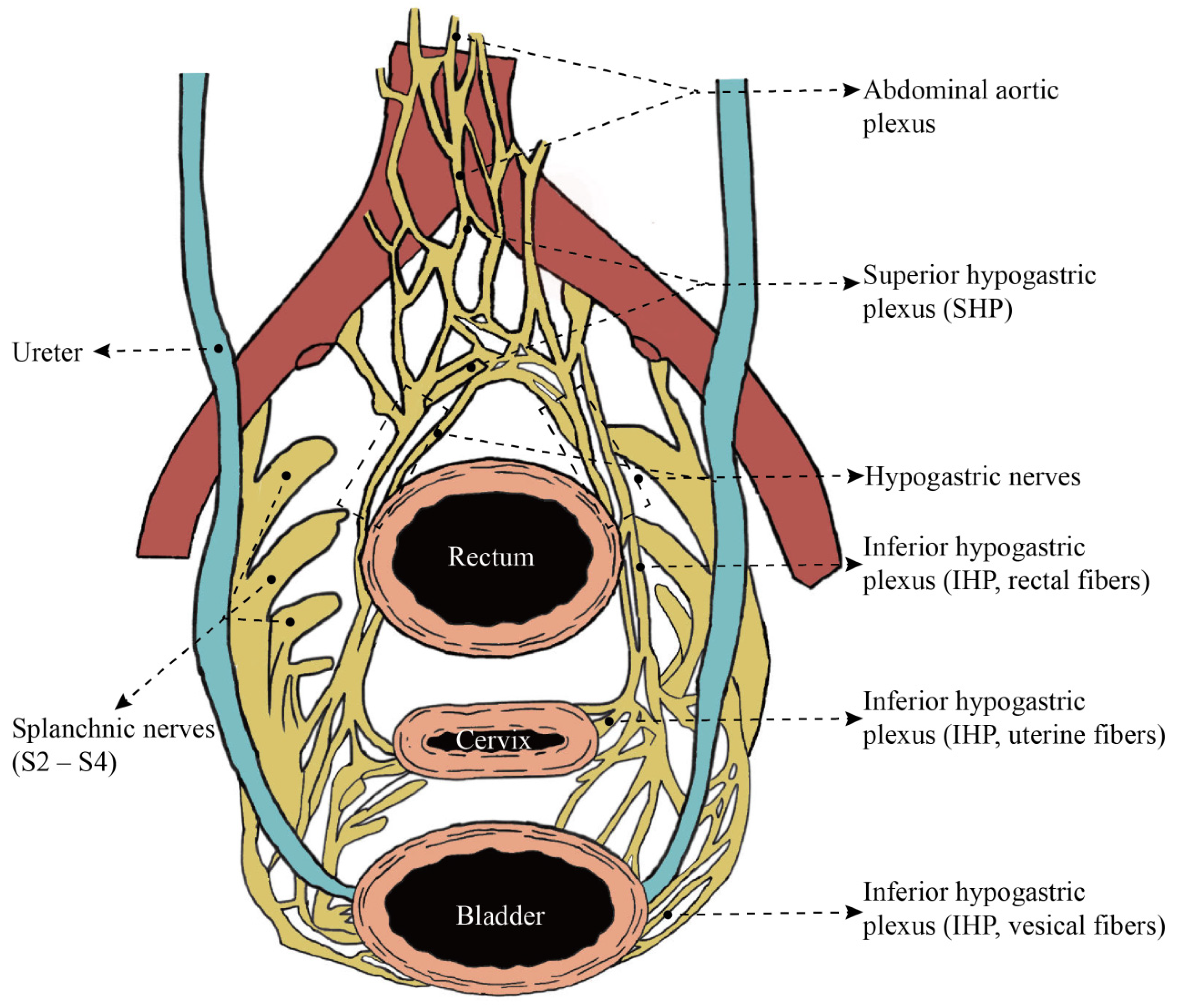 Diagnostics 14 01517 g002 Diagnostics 14 01517 g002