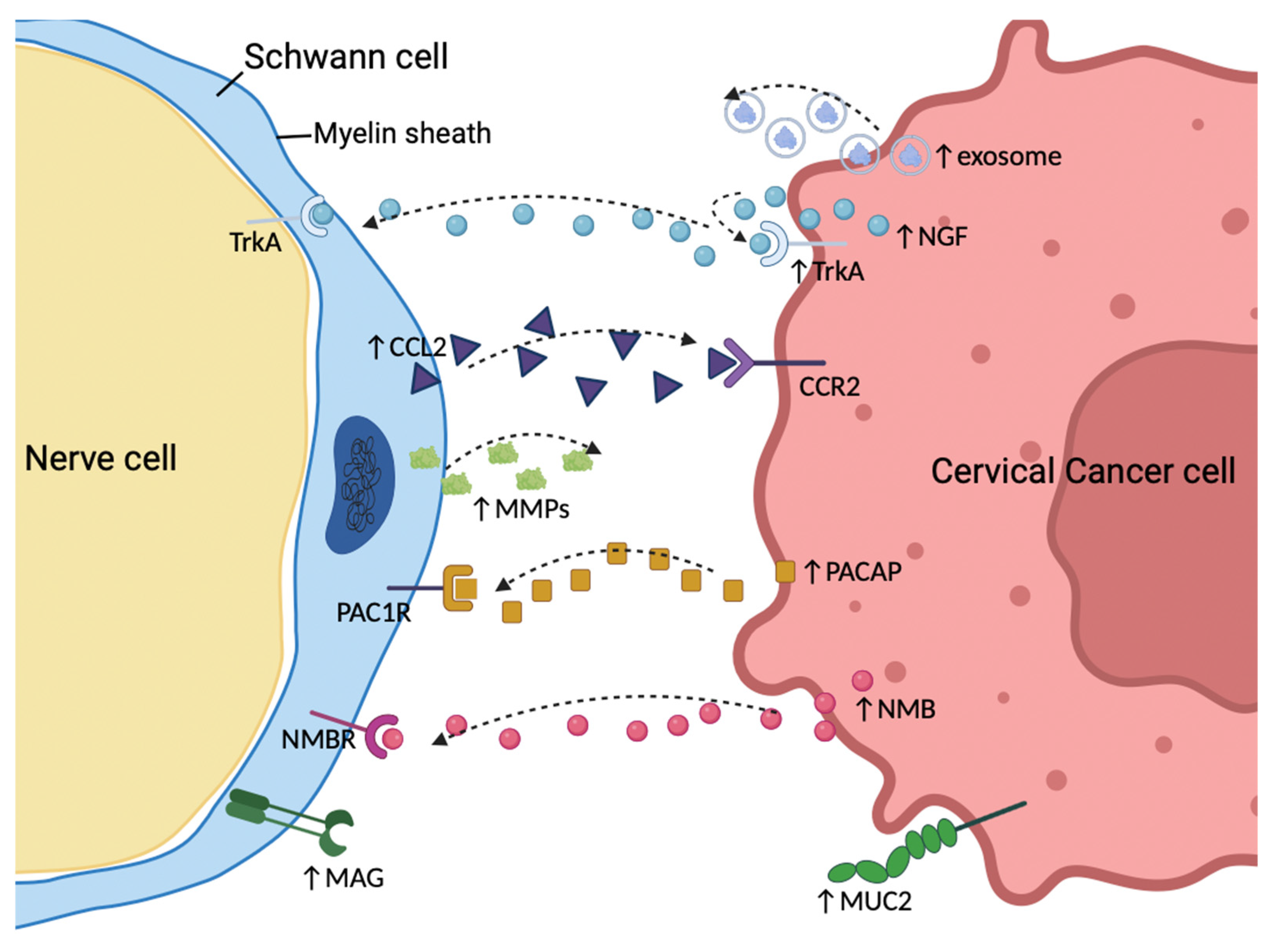 Diagnostics 14 01517 g003 Diagnostics 14 01517 g003