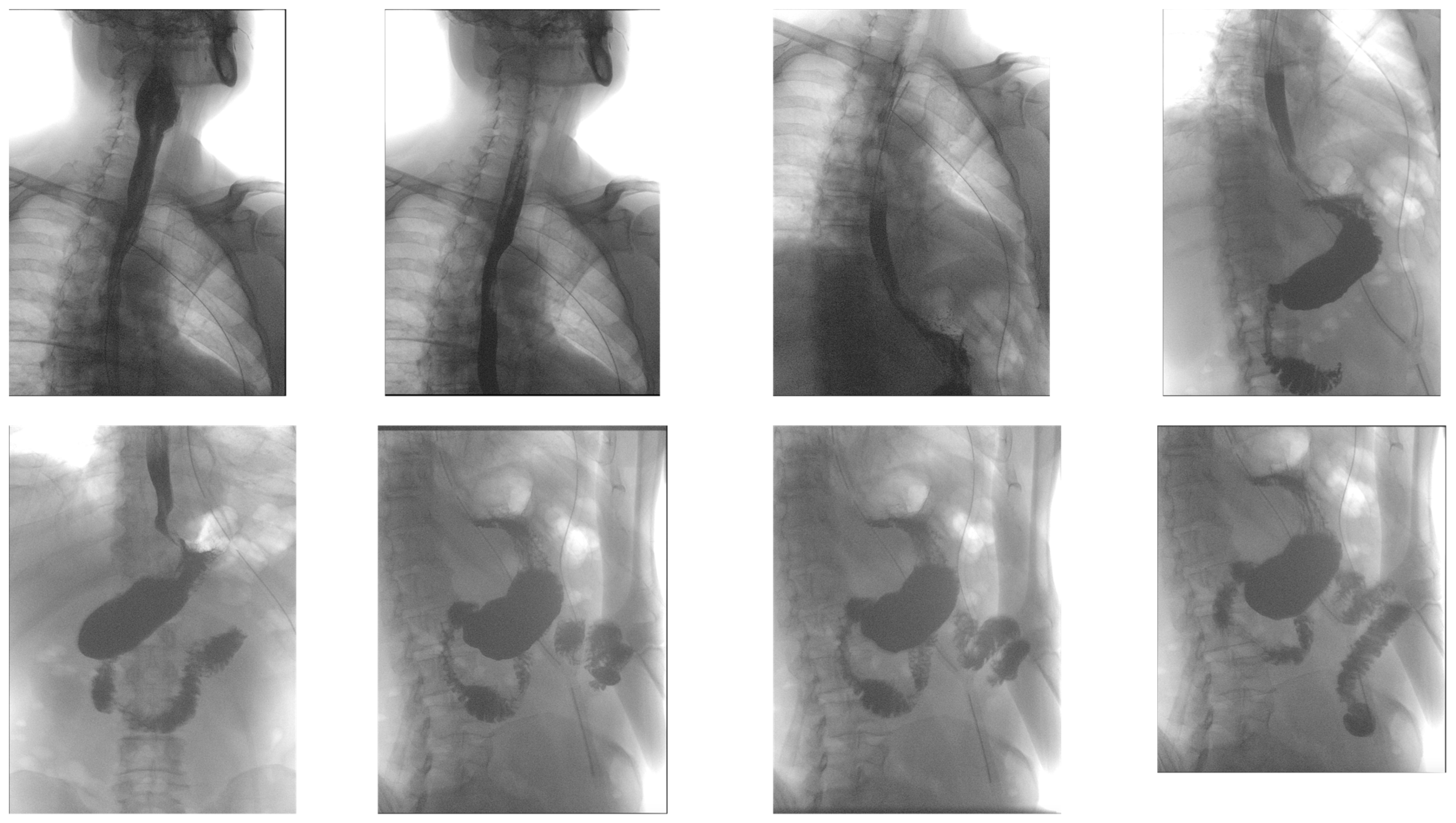 Diagnostics 14 01592 g005 Diagnostics 14 01592 g005