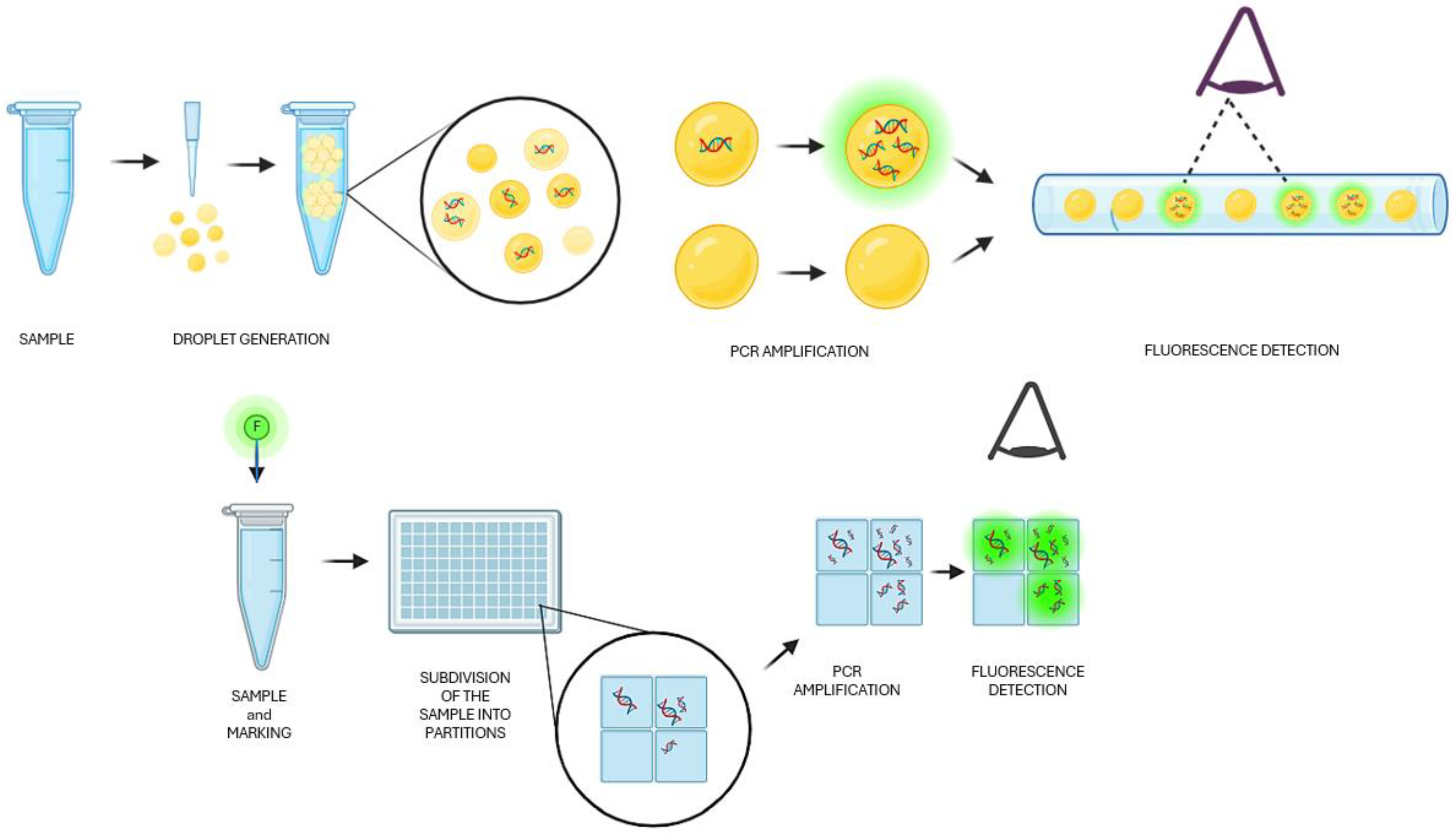 Diagnostics 14 01598 g001