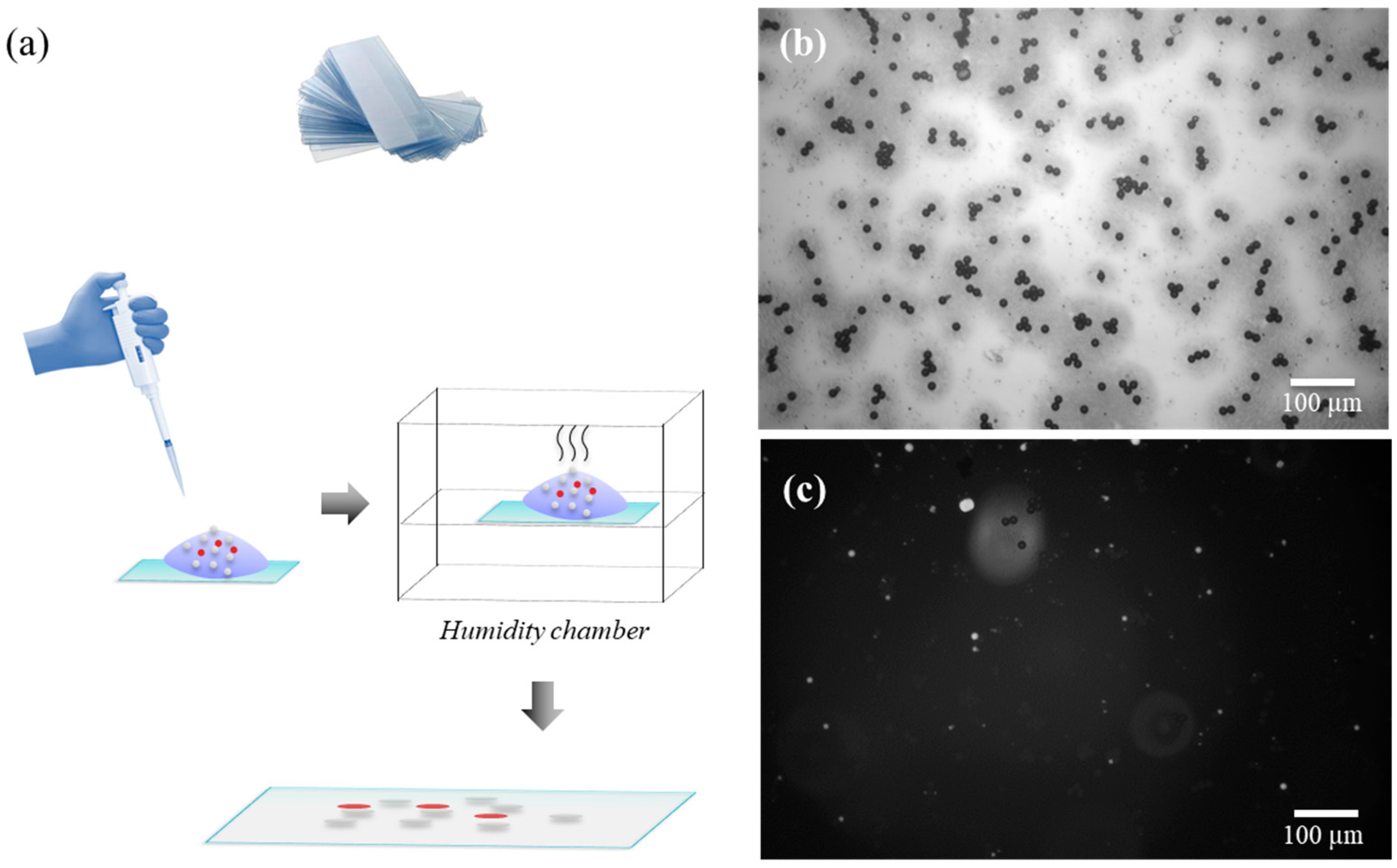 Diagnostics 14 01615 g002