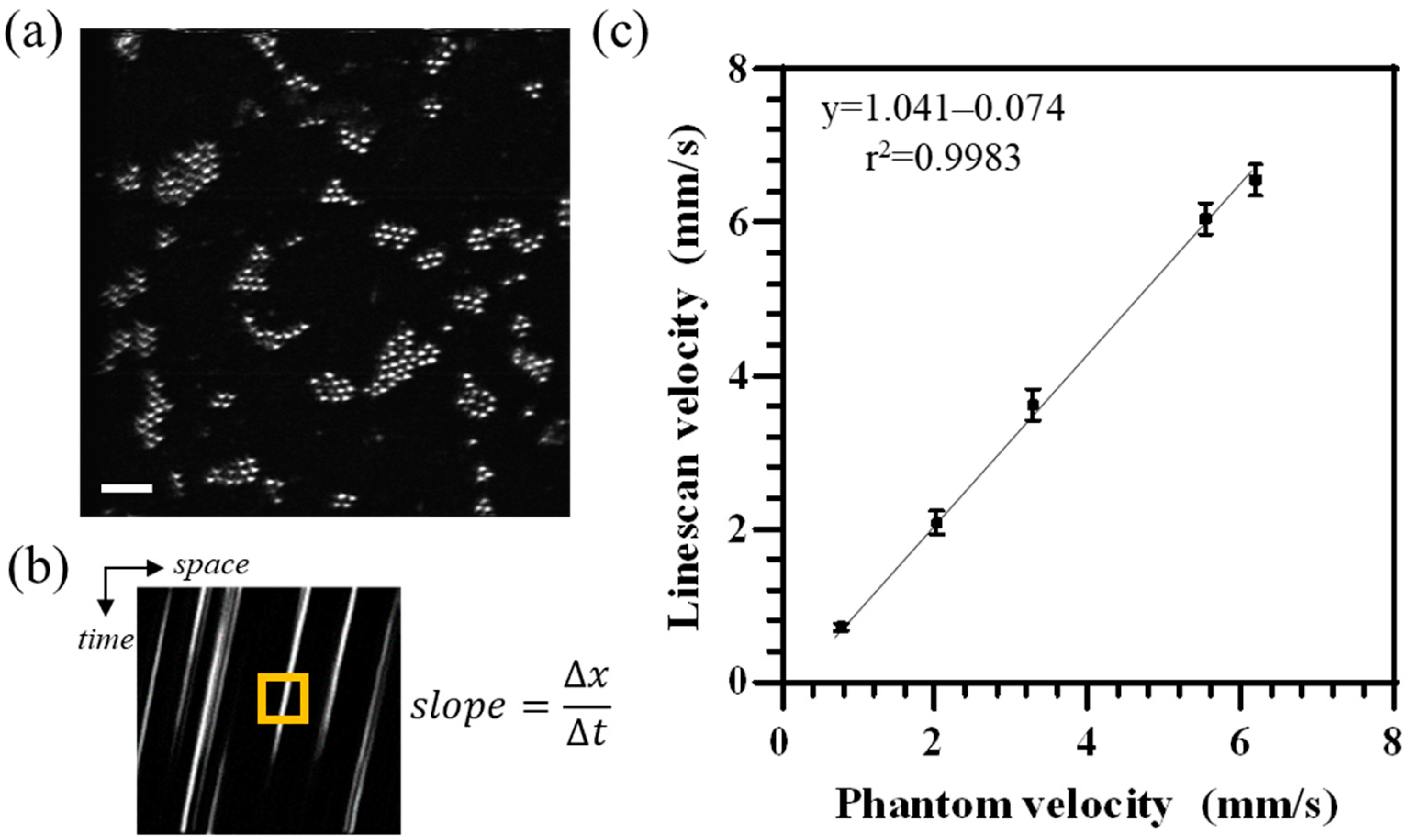Diagnostics 14 01615 g004