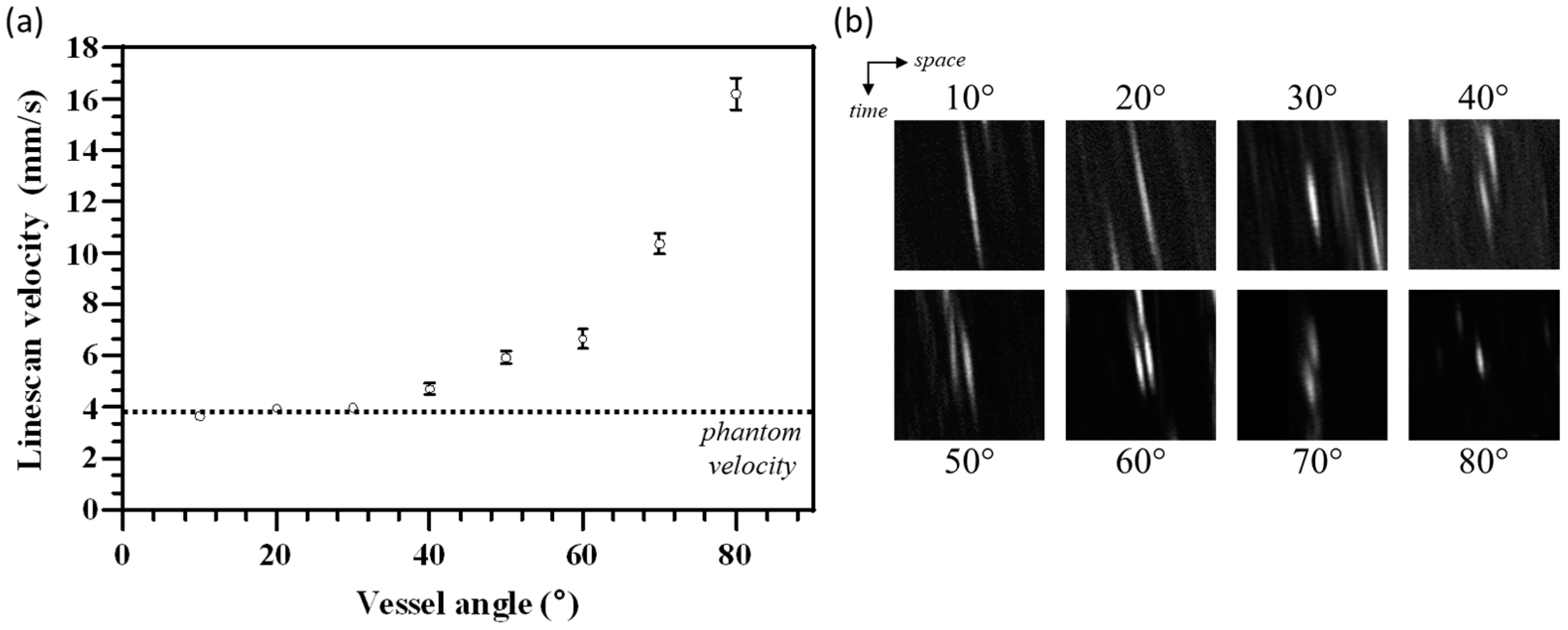 Diagnostics 14 01615 g005
