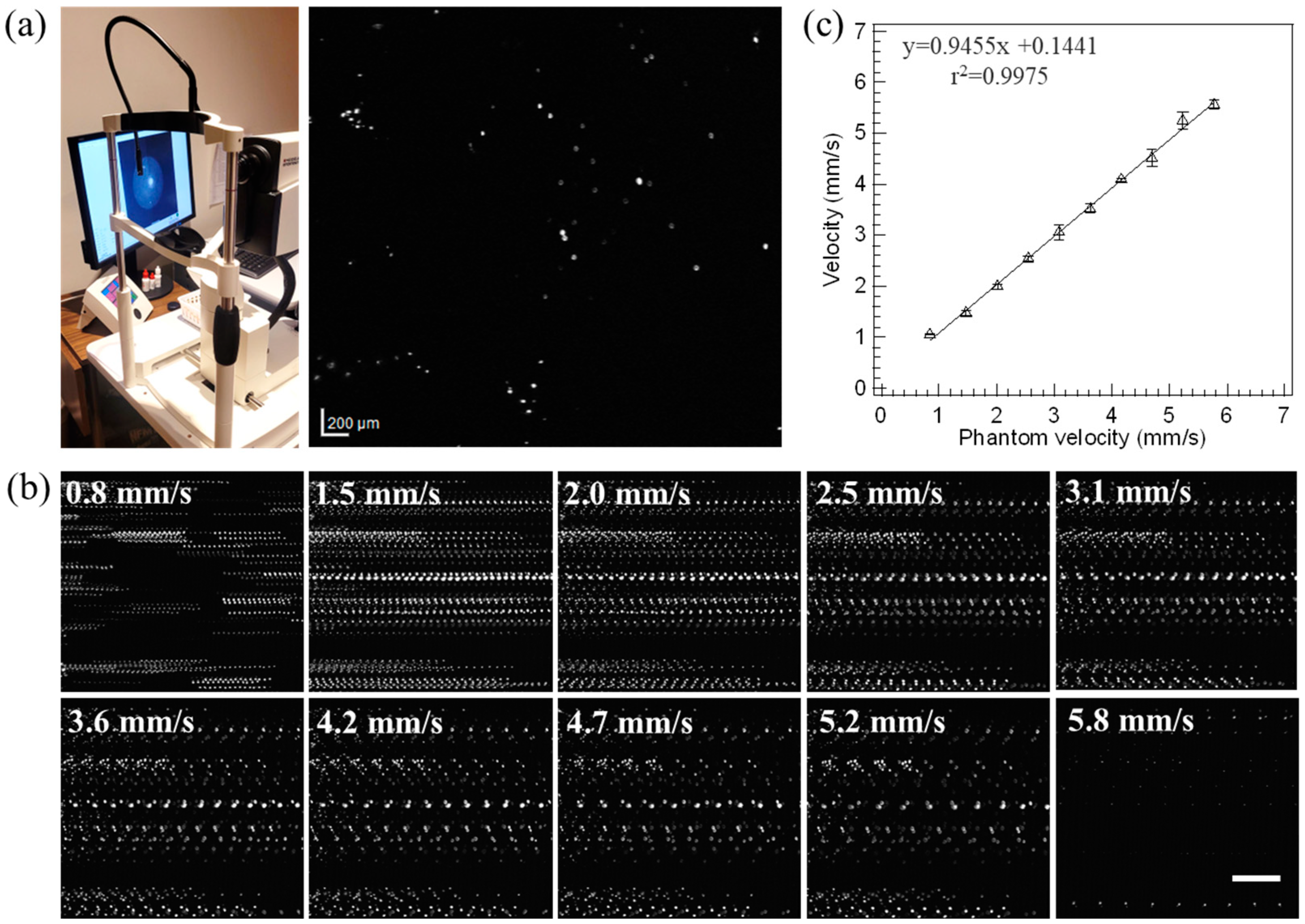 Diagnostics 14 01615 g006
