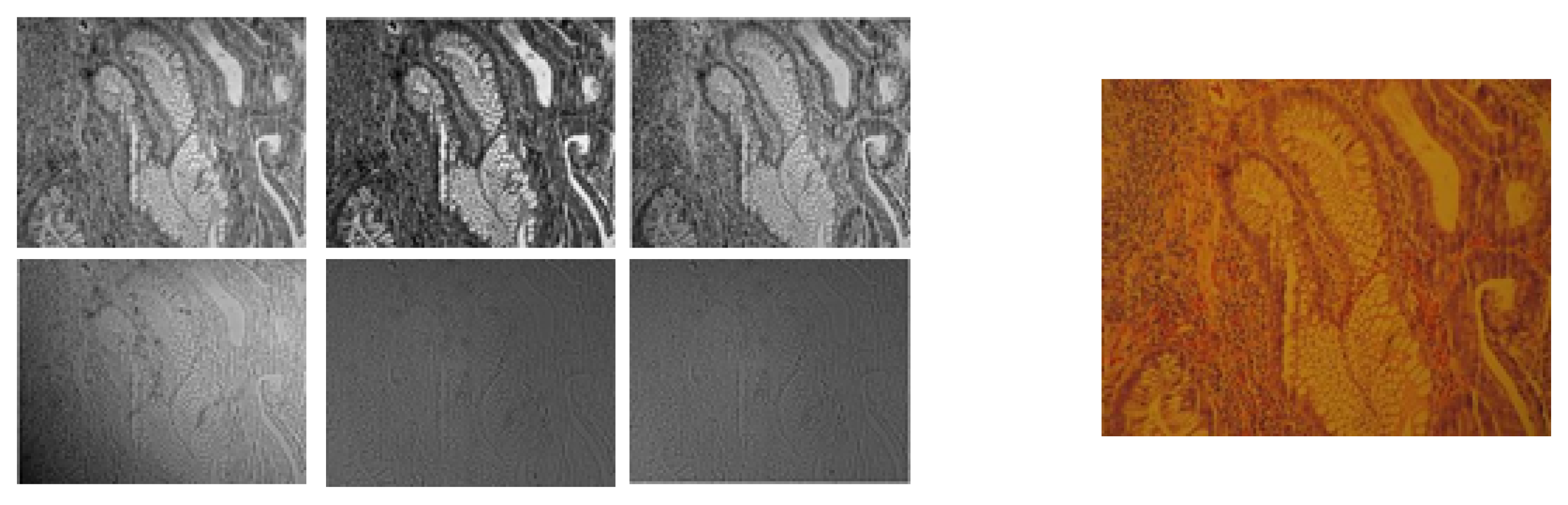 Diagnostics 14 01625 g001