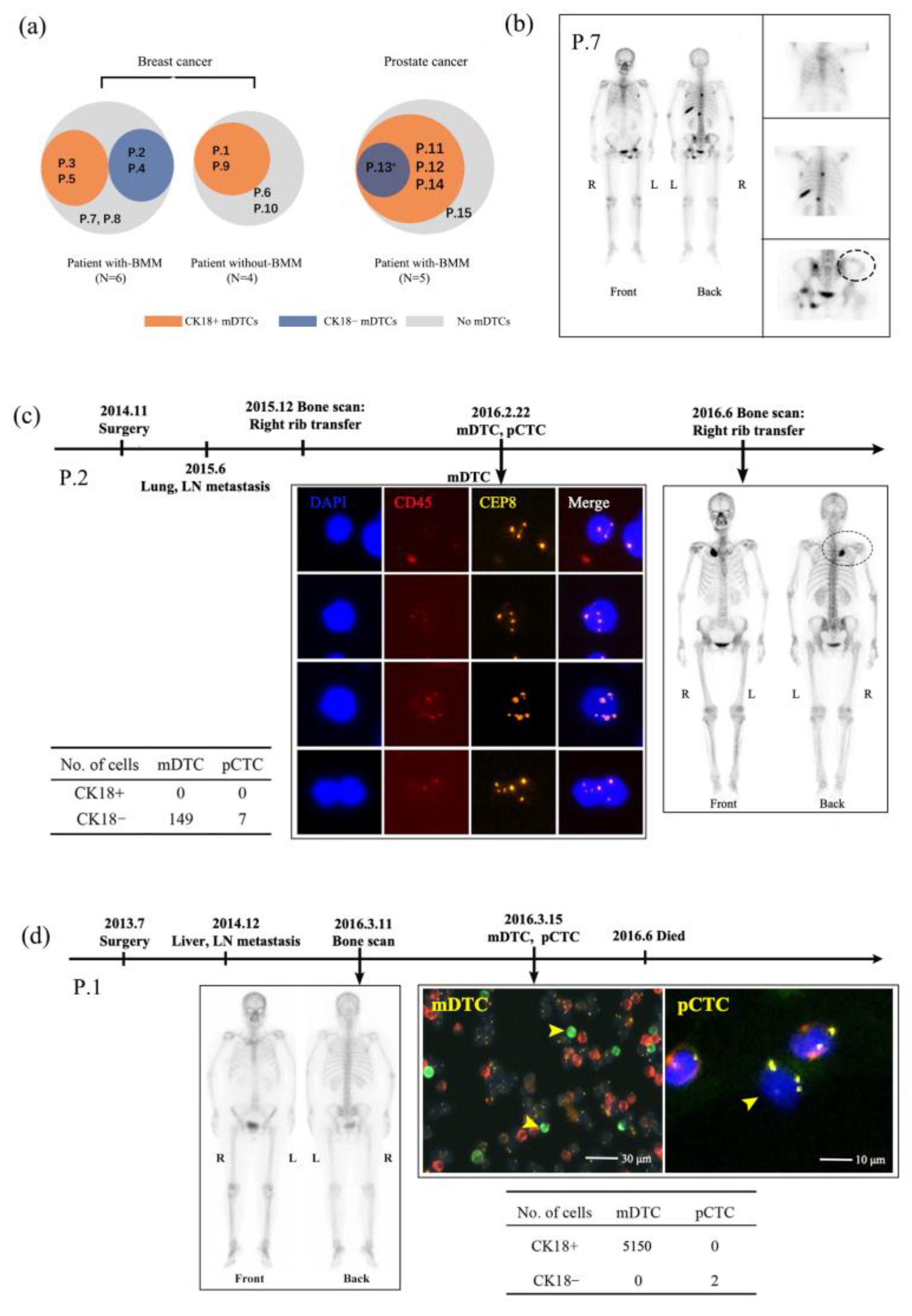 Diagnostics 14 01629 g003