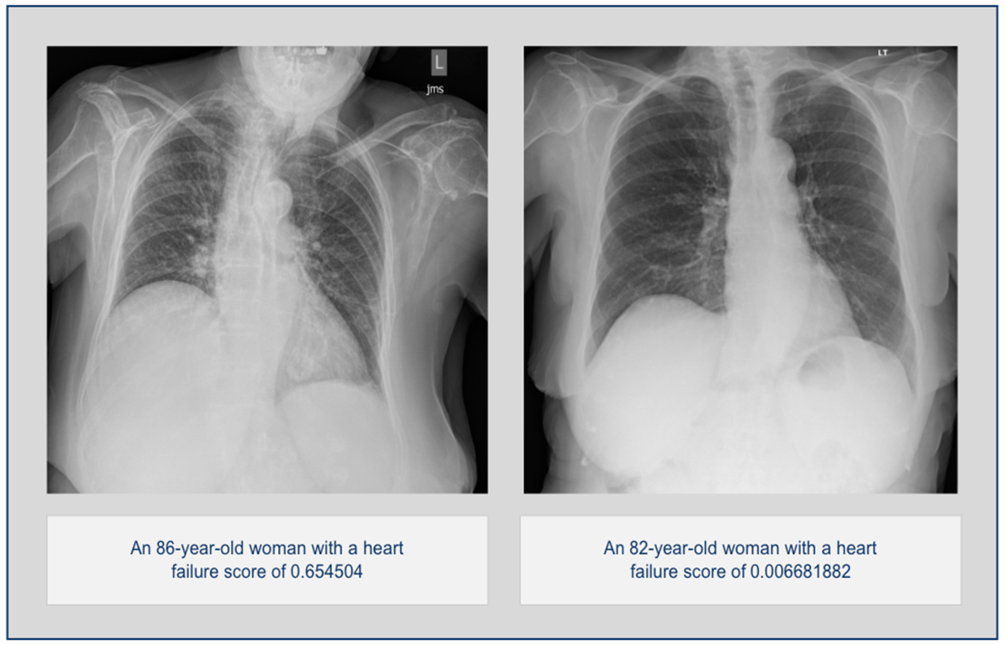 Diagnostics 14 01635 g003