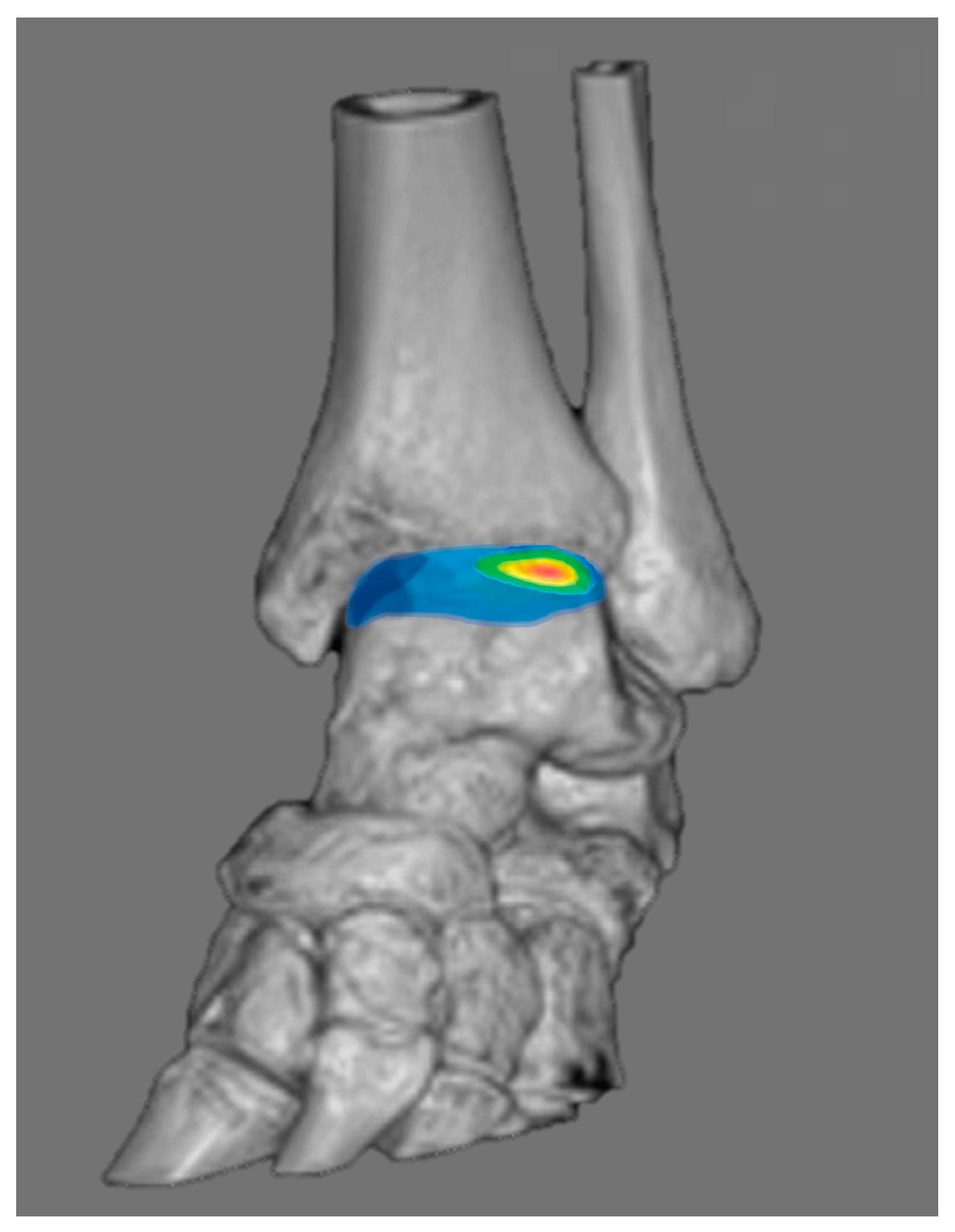 Diagnostics 14 01641 g008