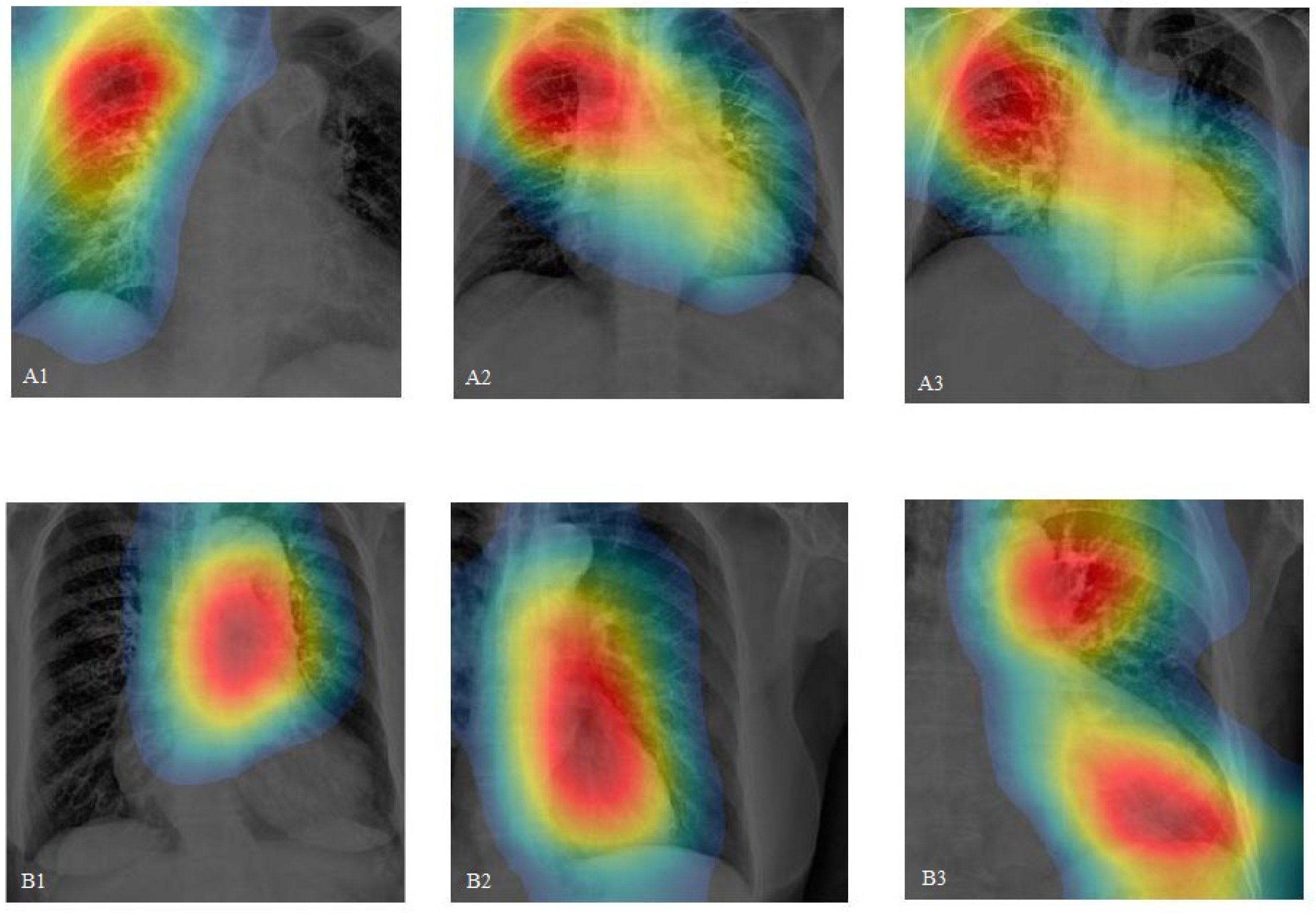 Diagnostics 14 01646 g005 Diagnostics 14 01646 g005