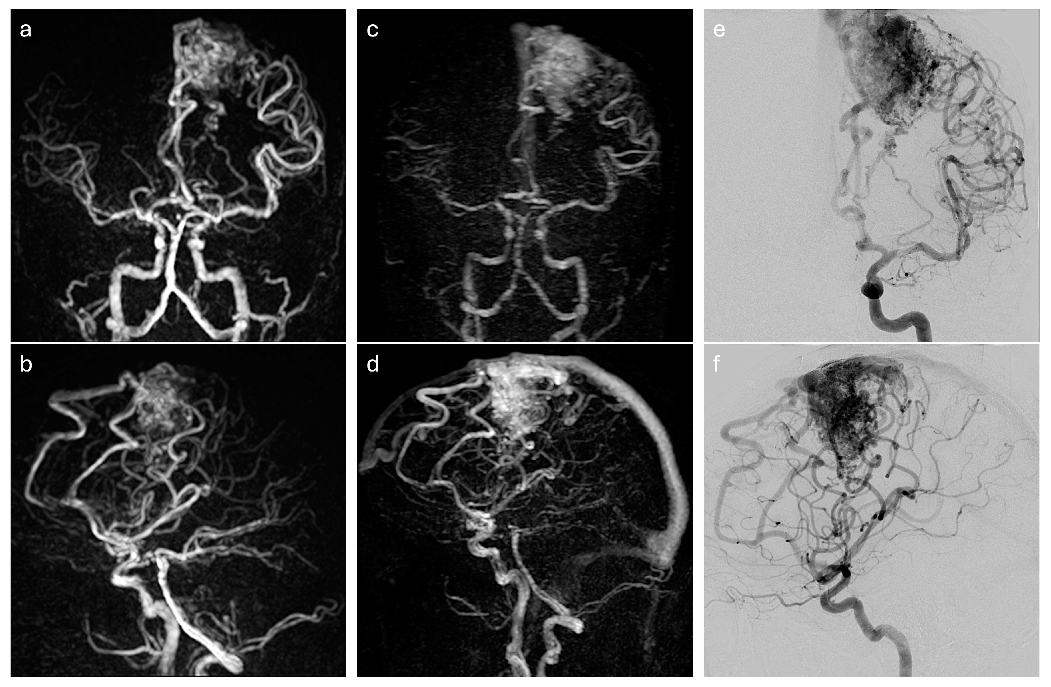 Diagnostics 14 01656 g003 Diagnostics 14 01656 g003