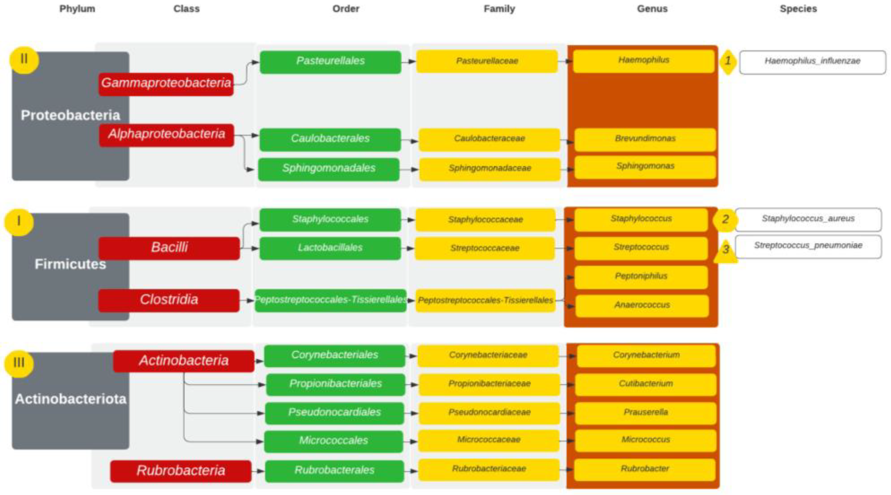 Diagnostics 14 01673 g005