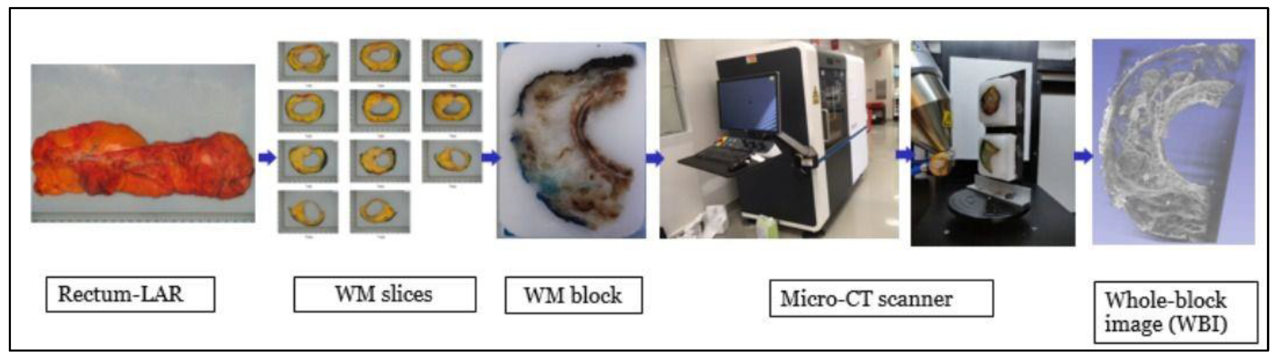 Diagnostics 14 01704 g001
