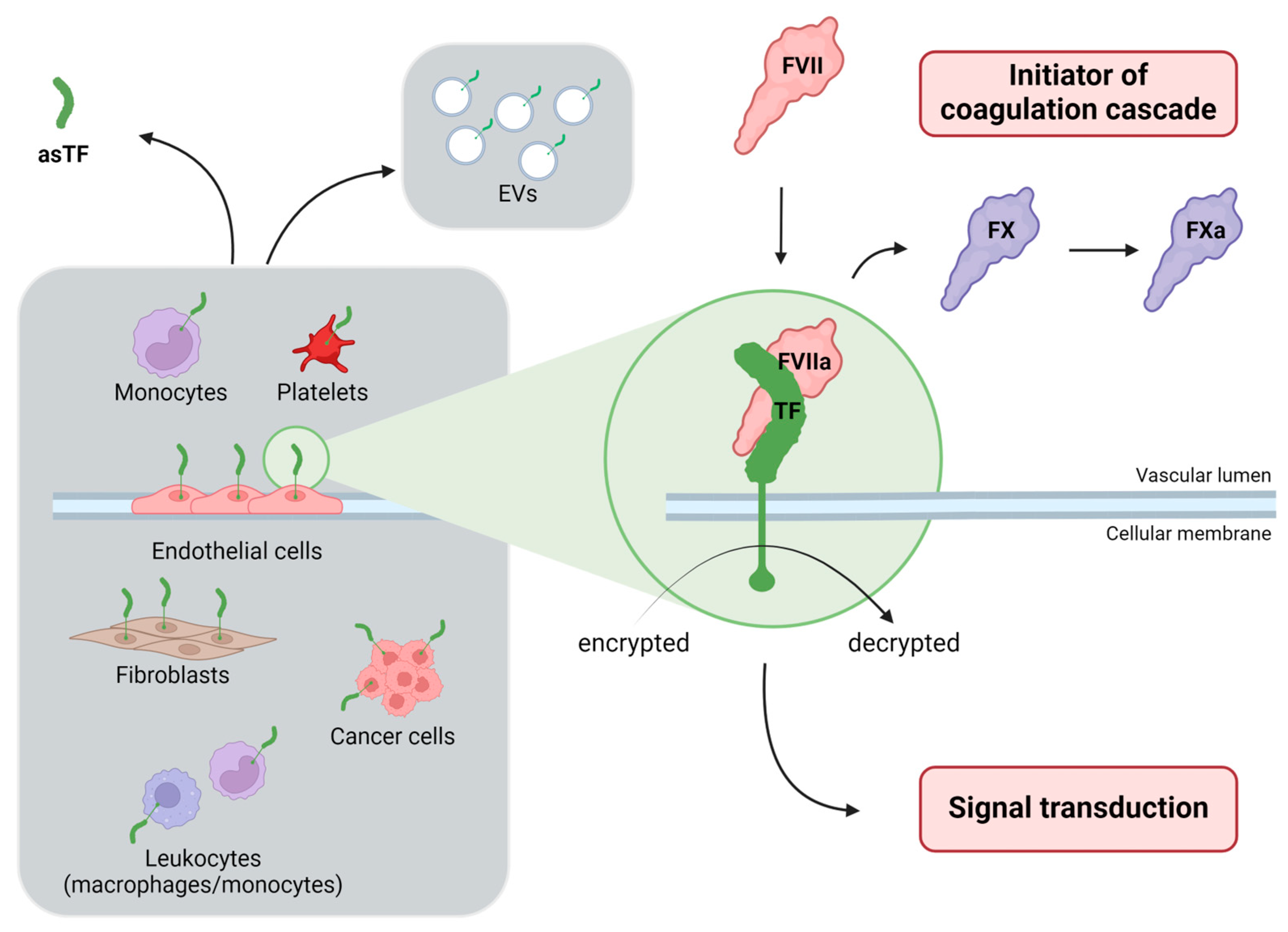 Diagnostics 14 01711 g001