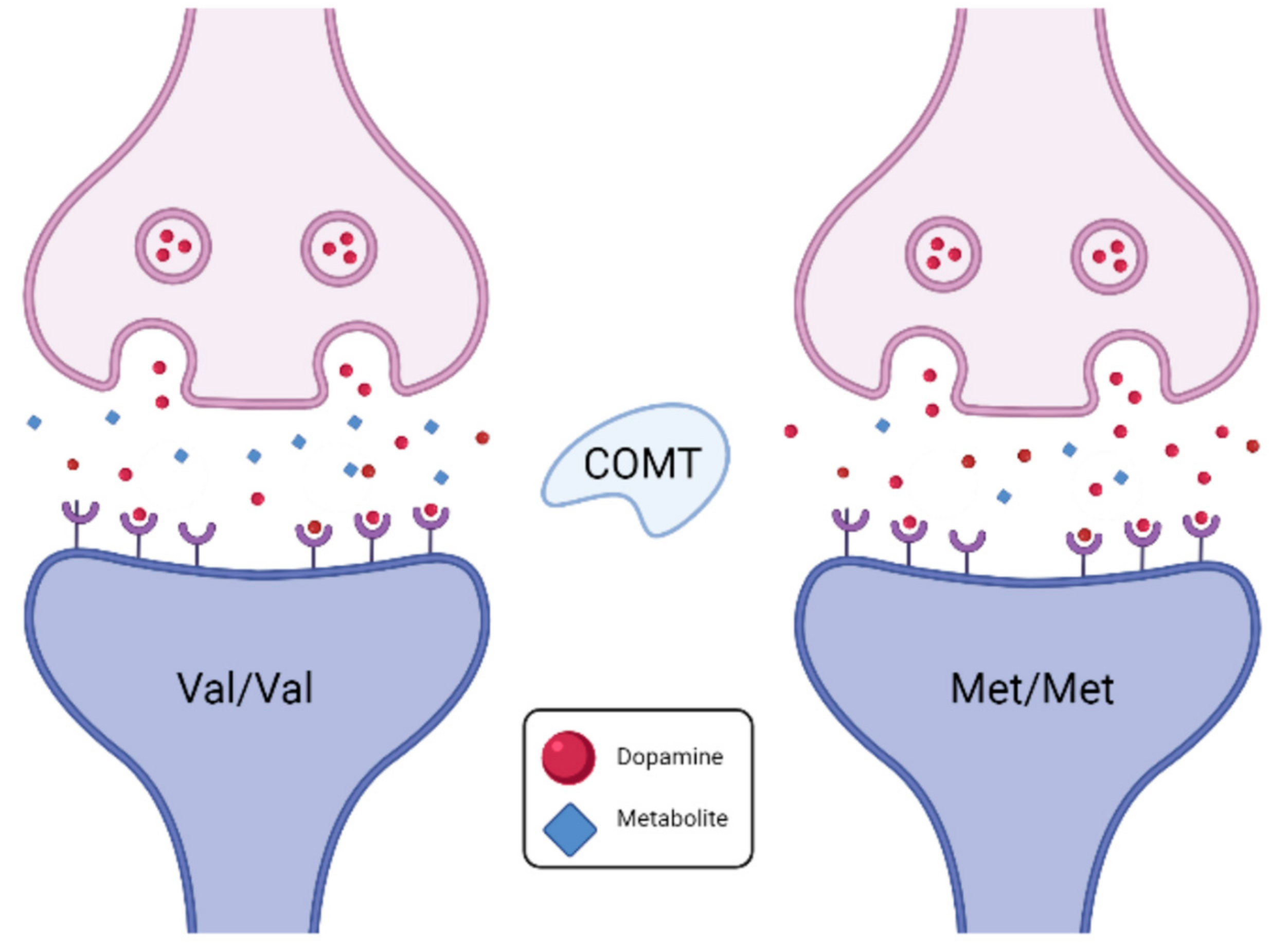Diagnostics 14 01730 g004