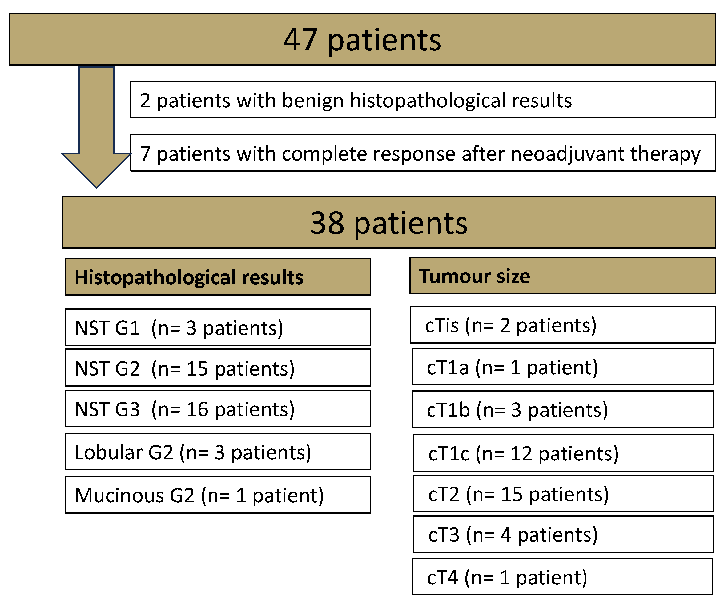 Diagnostics 14 01742 g001
