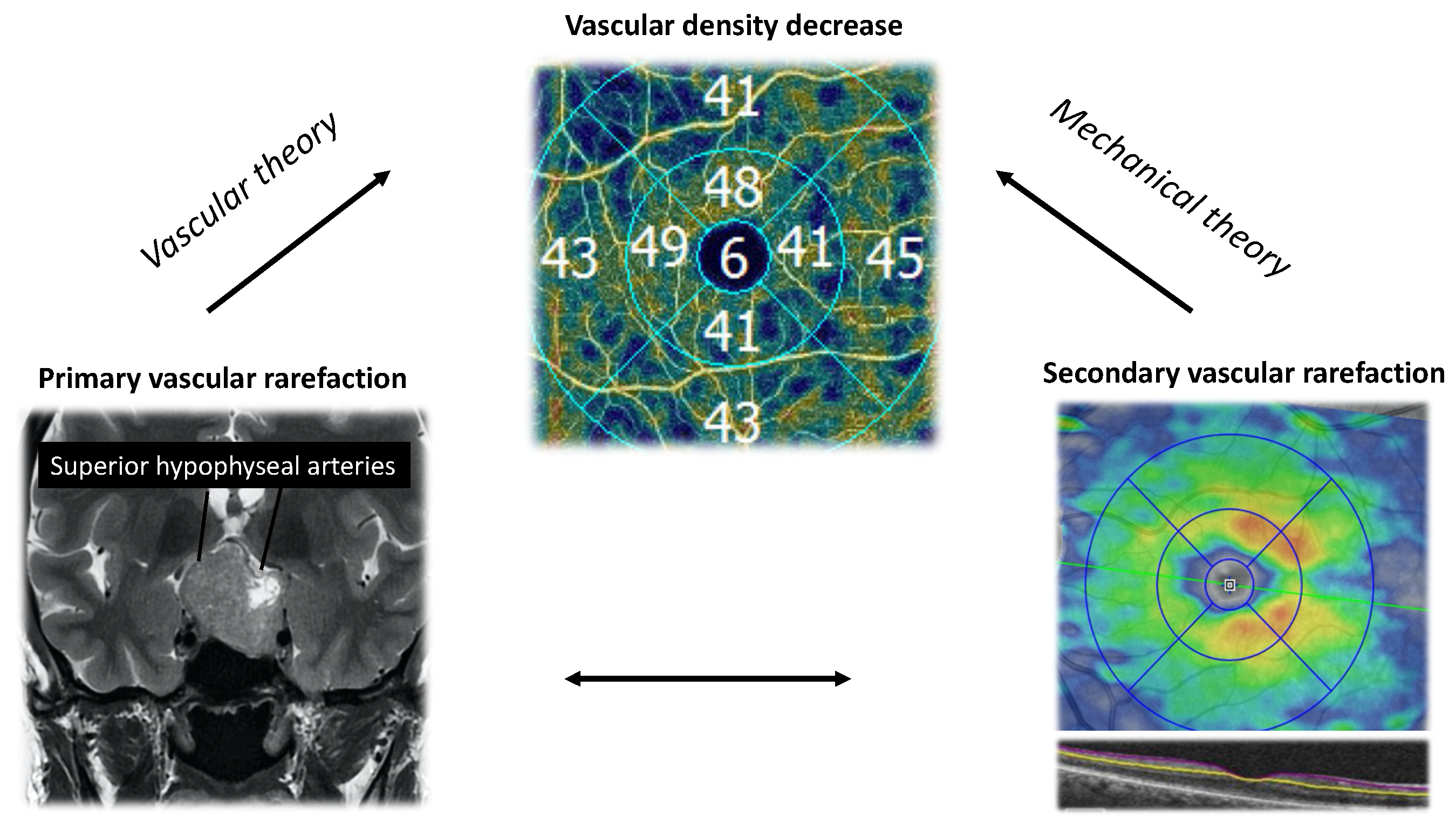 Diagnostics 14 01747 g0a2