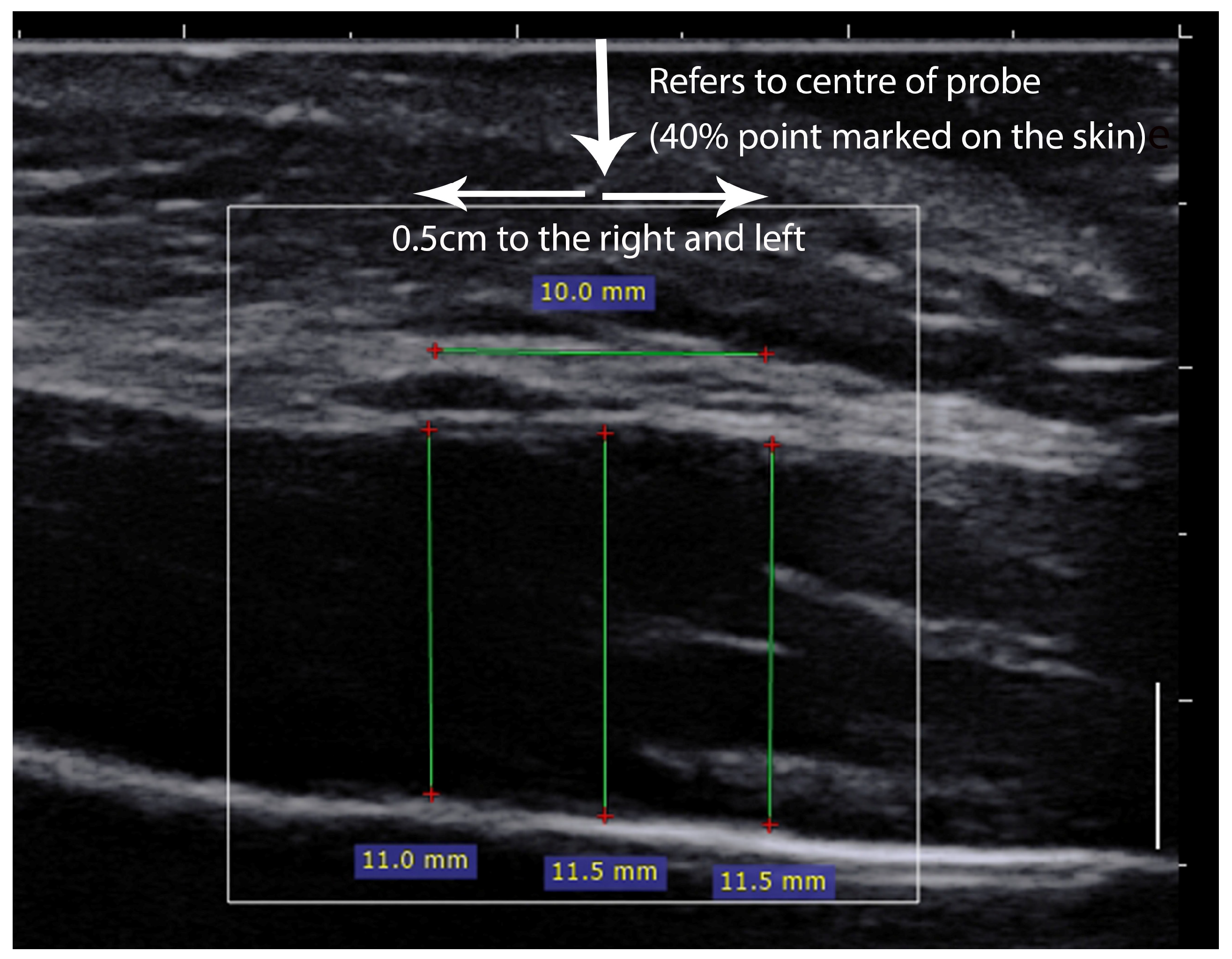 Diagnostics 14 01771 g002