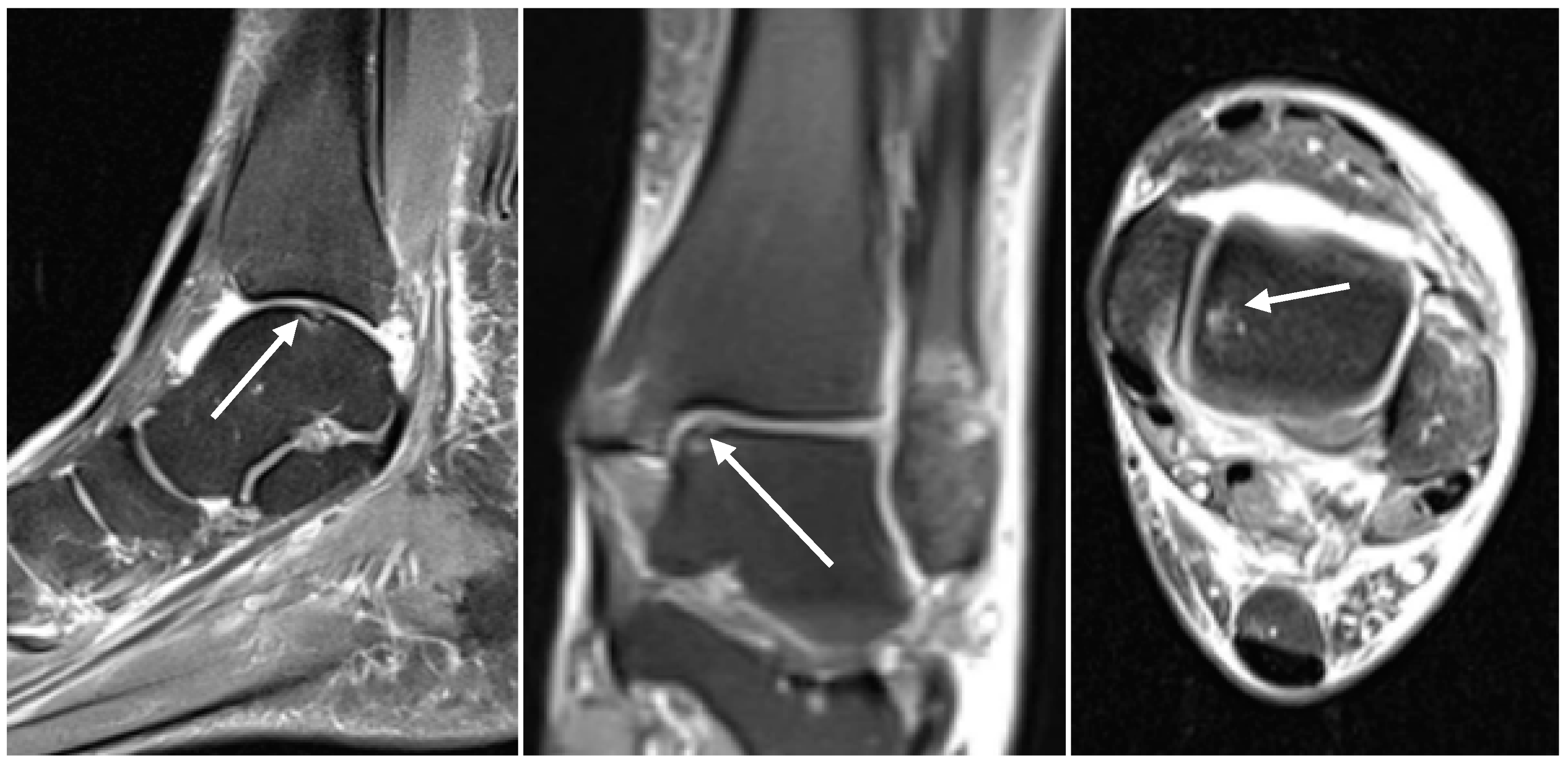Diagnostics 14 01810 g001